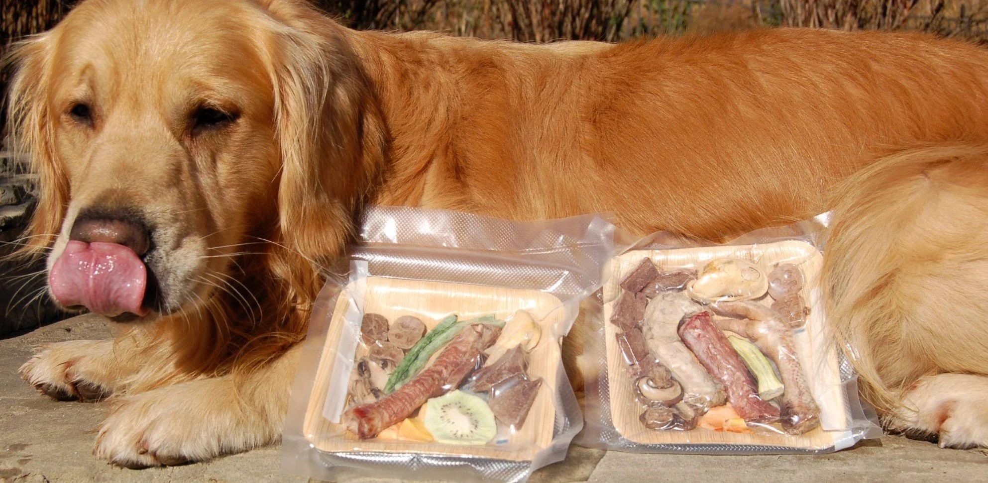 Barkuterie Boards - large