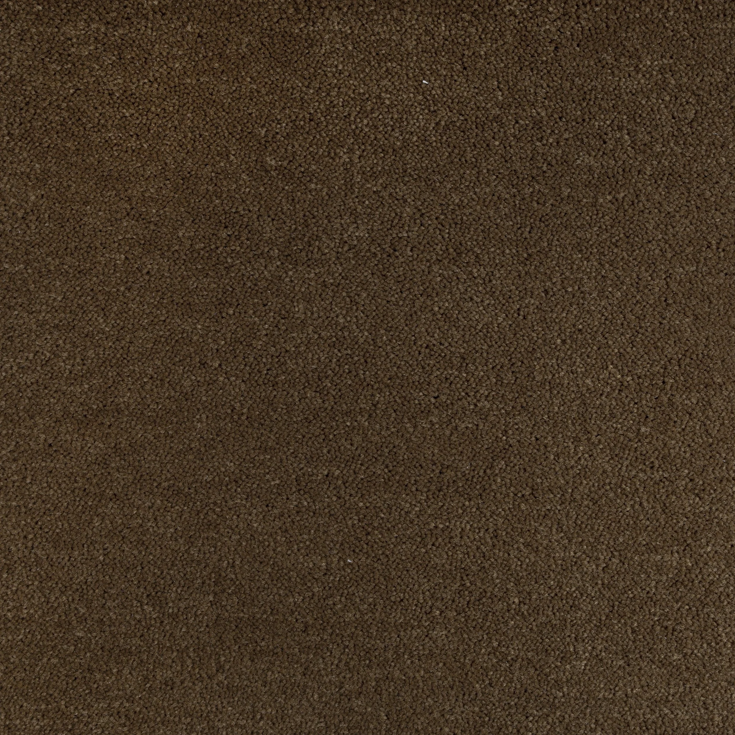 6014.jpg
