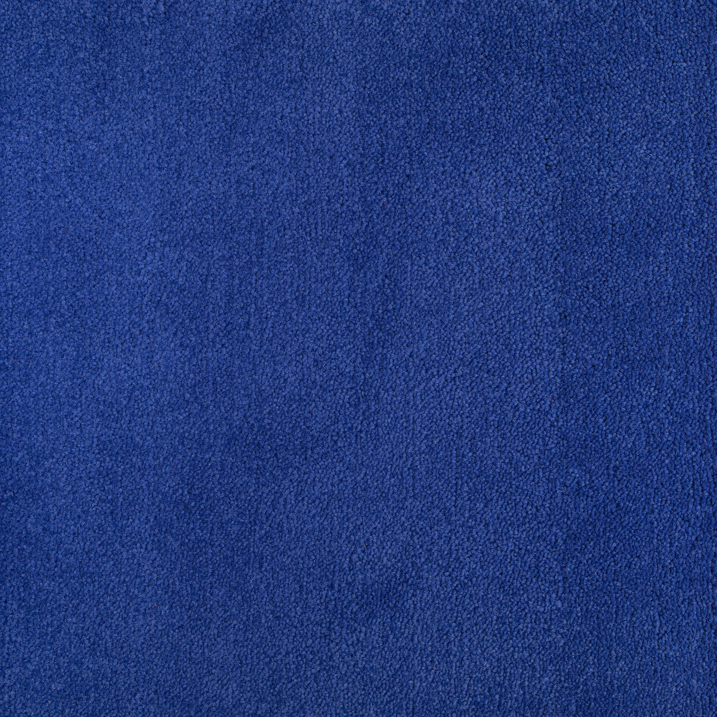 1427.jpg