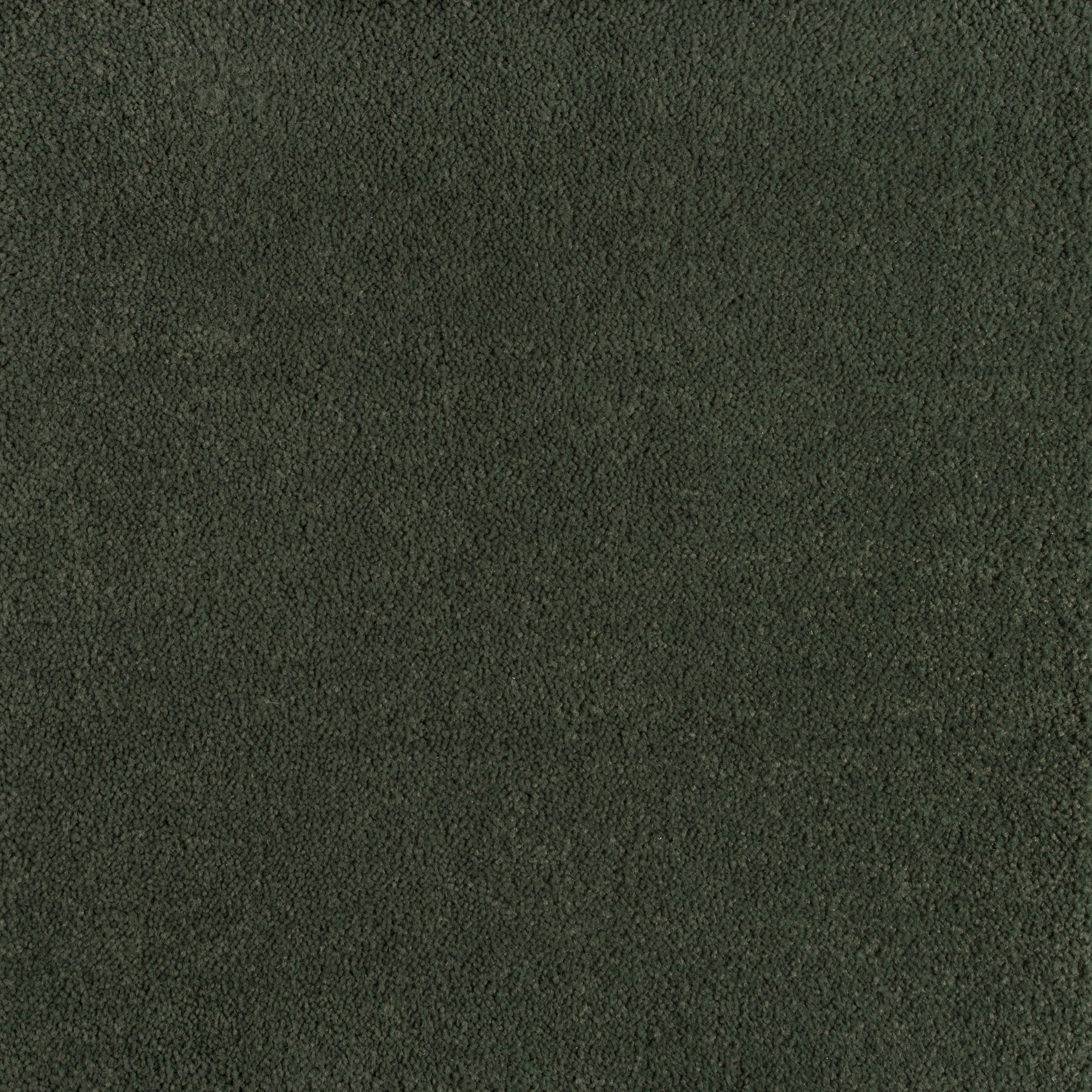 5020.jpg