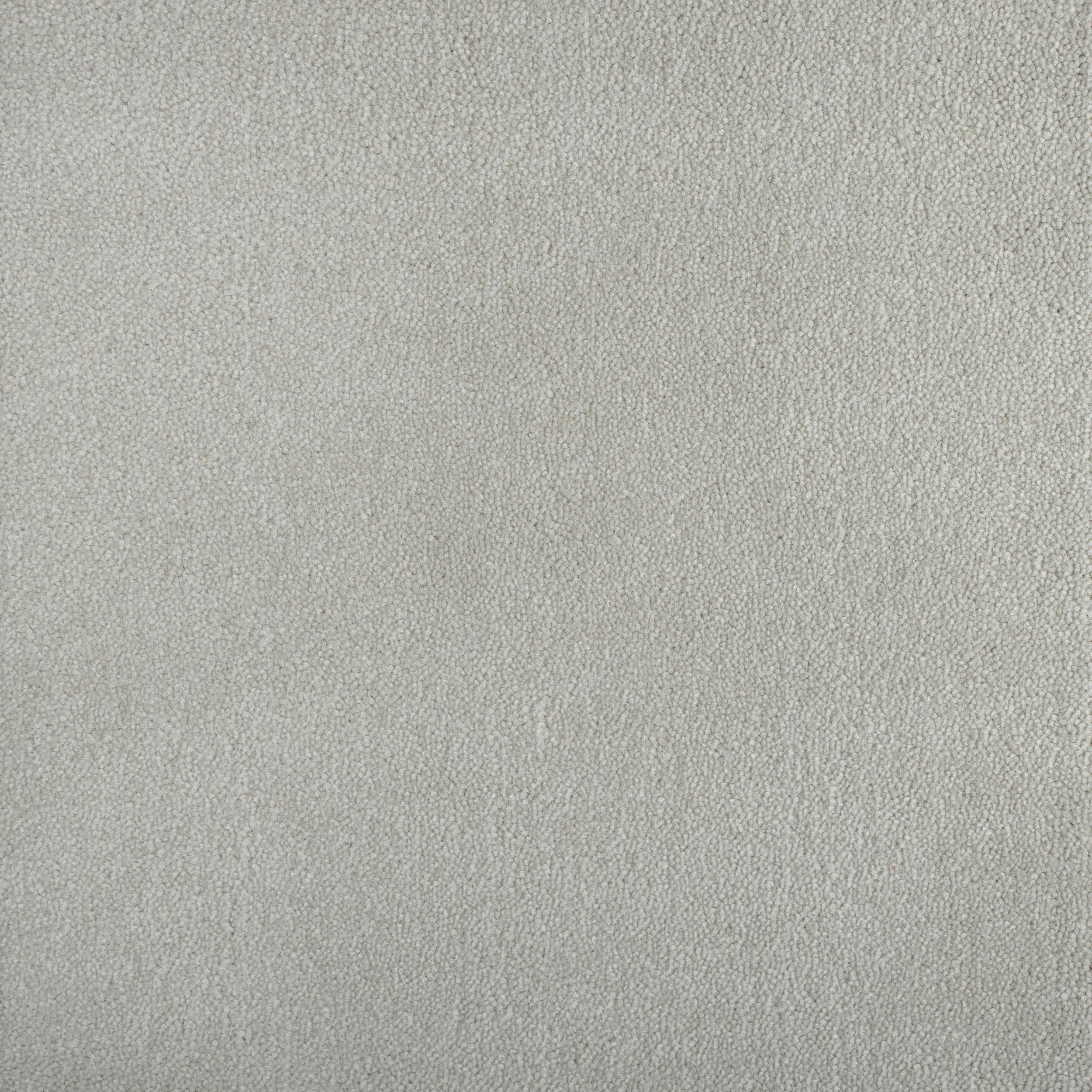 1558.jpg