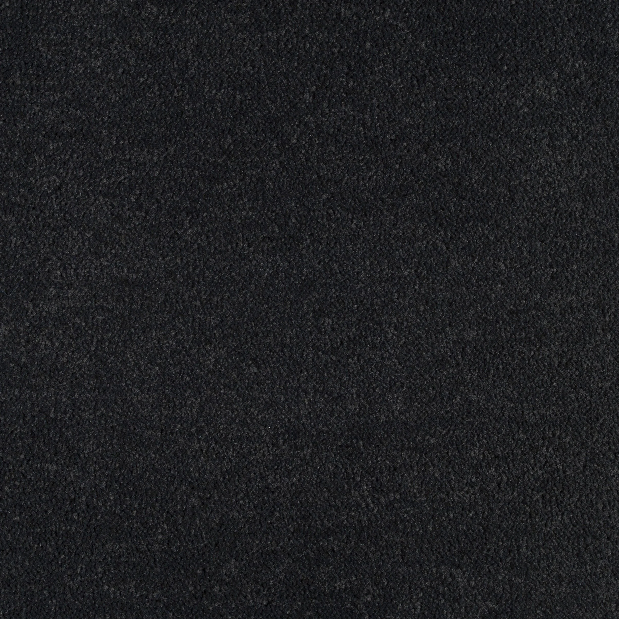 1264.jpg