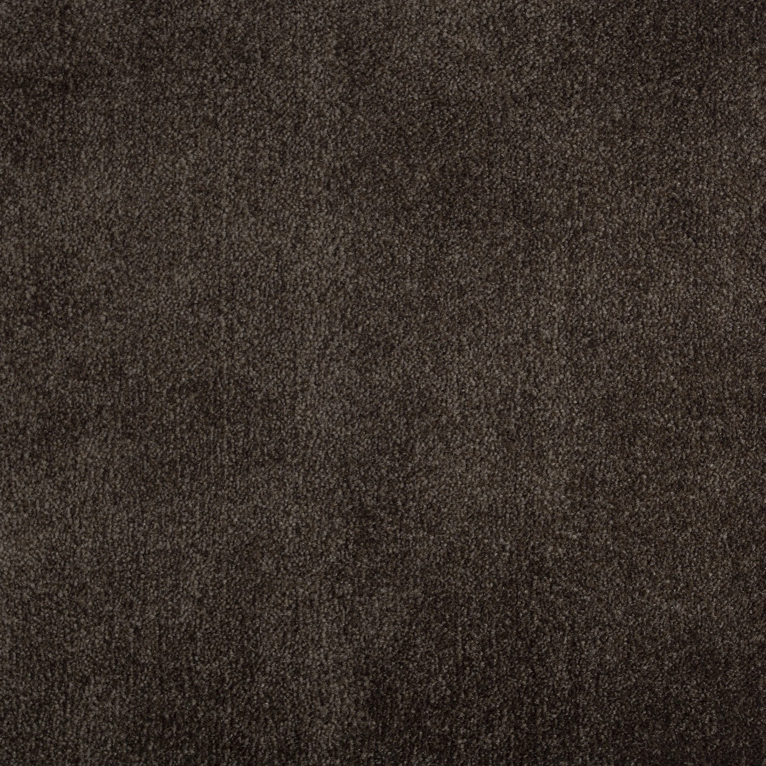 1237%20BR.jpg