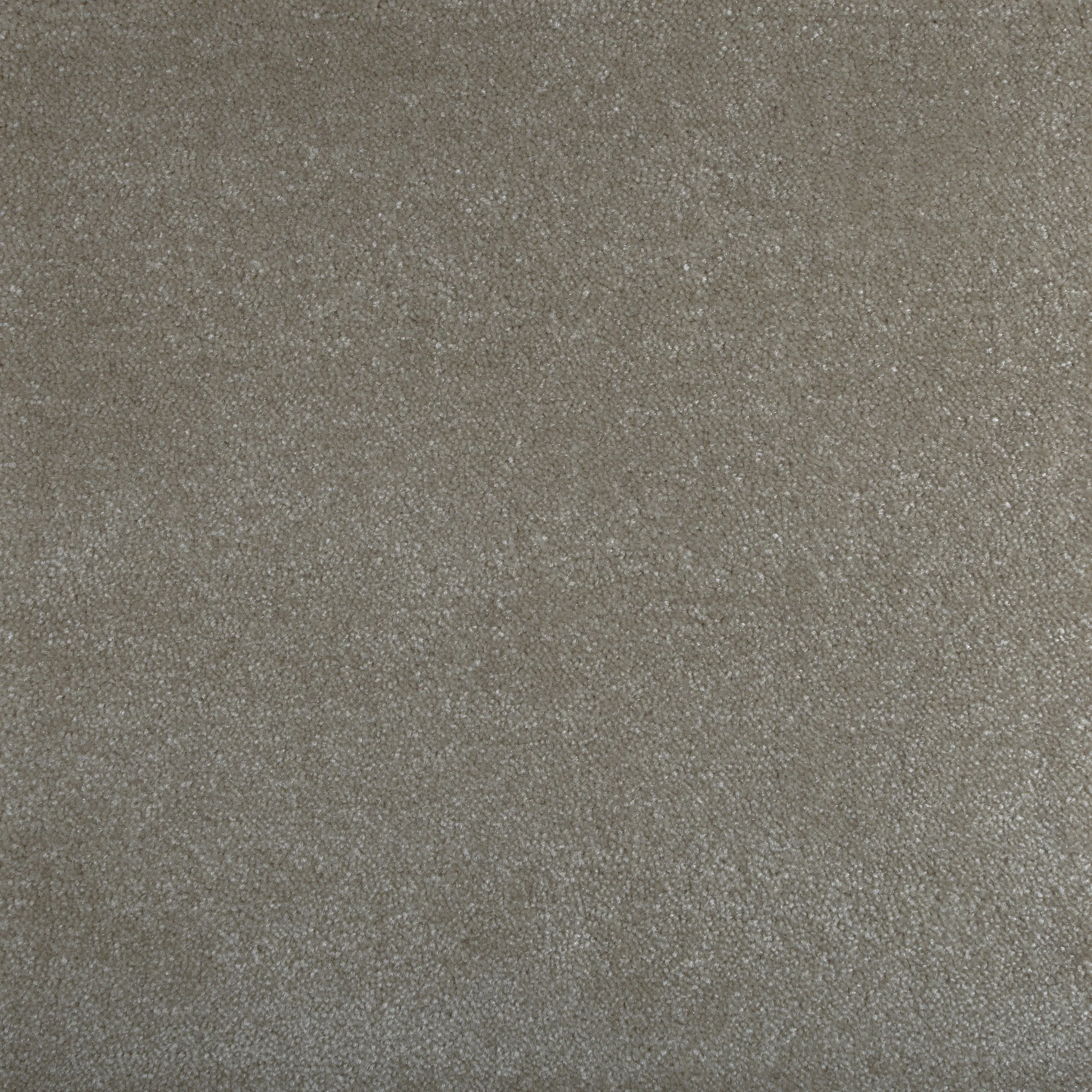 1242%20BR.jpg