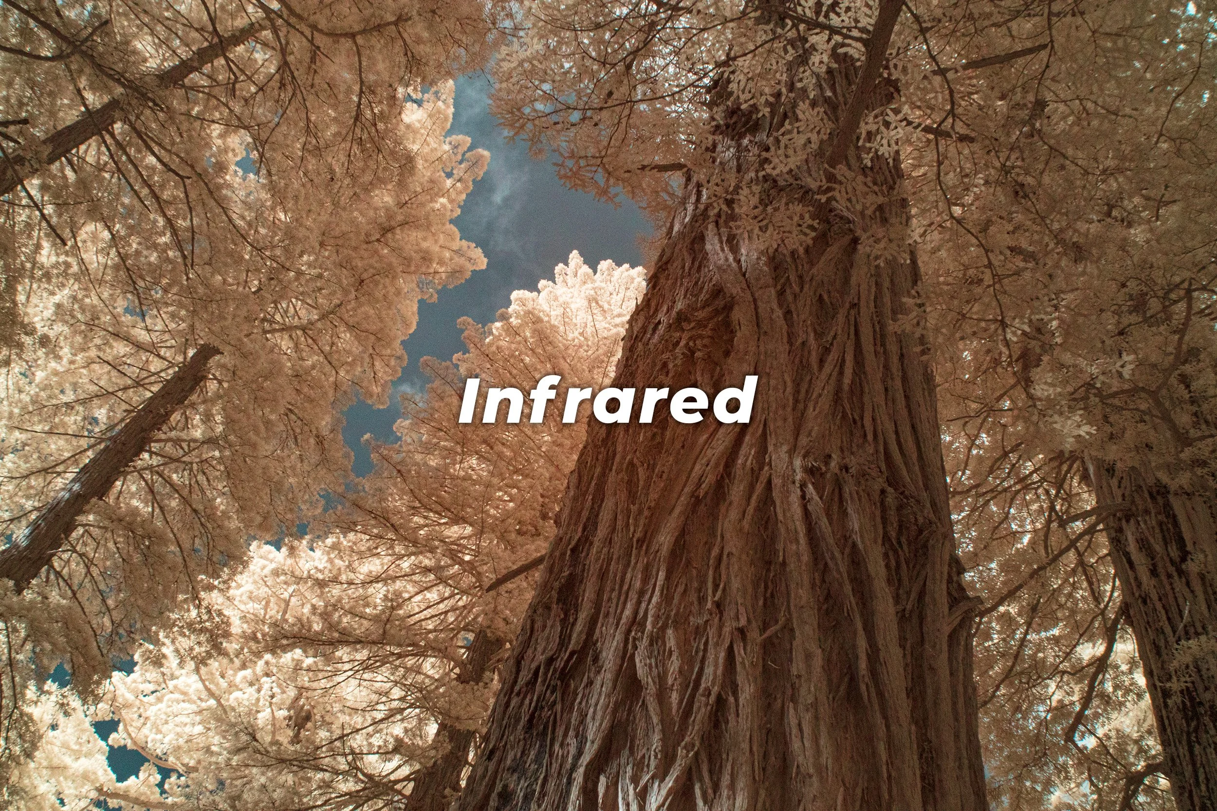 Infrared.jpg