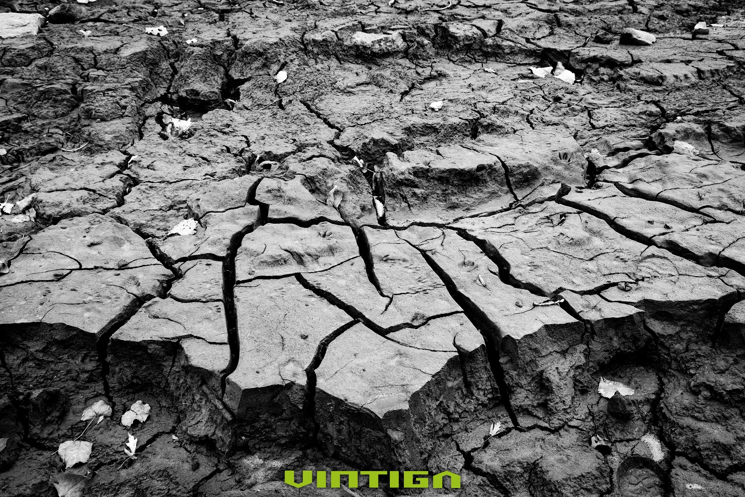 Muddy-Chunks.jpg