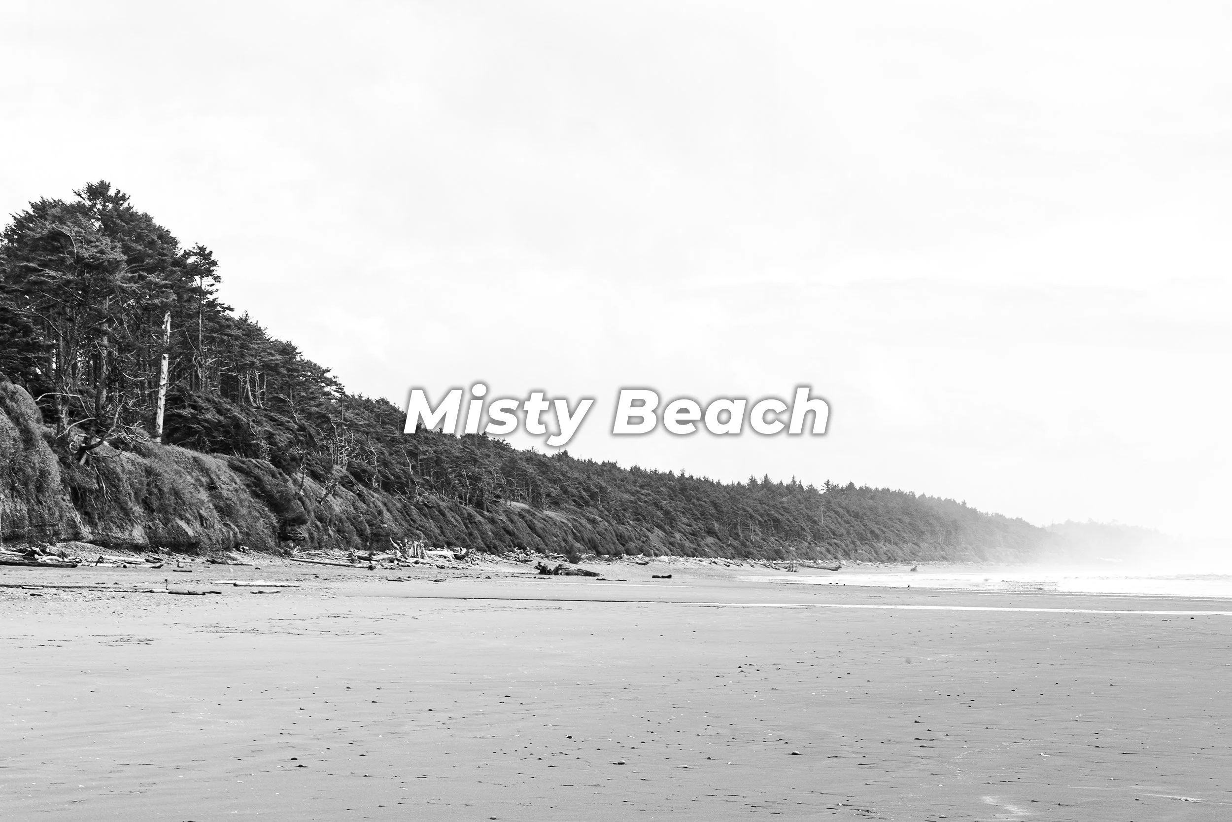 Misty Beach