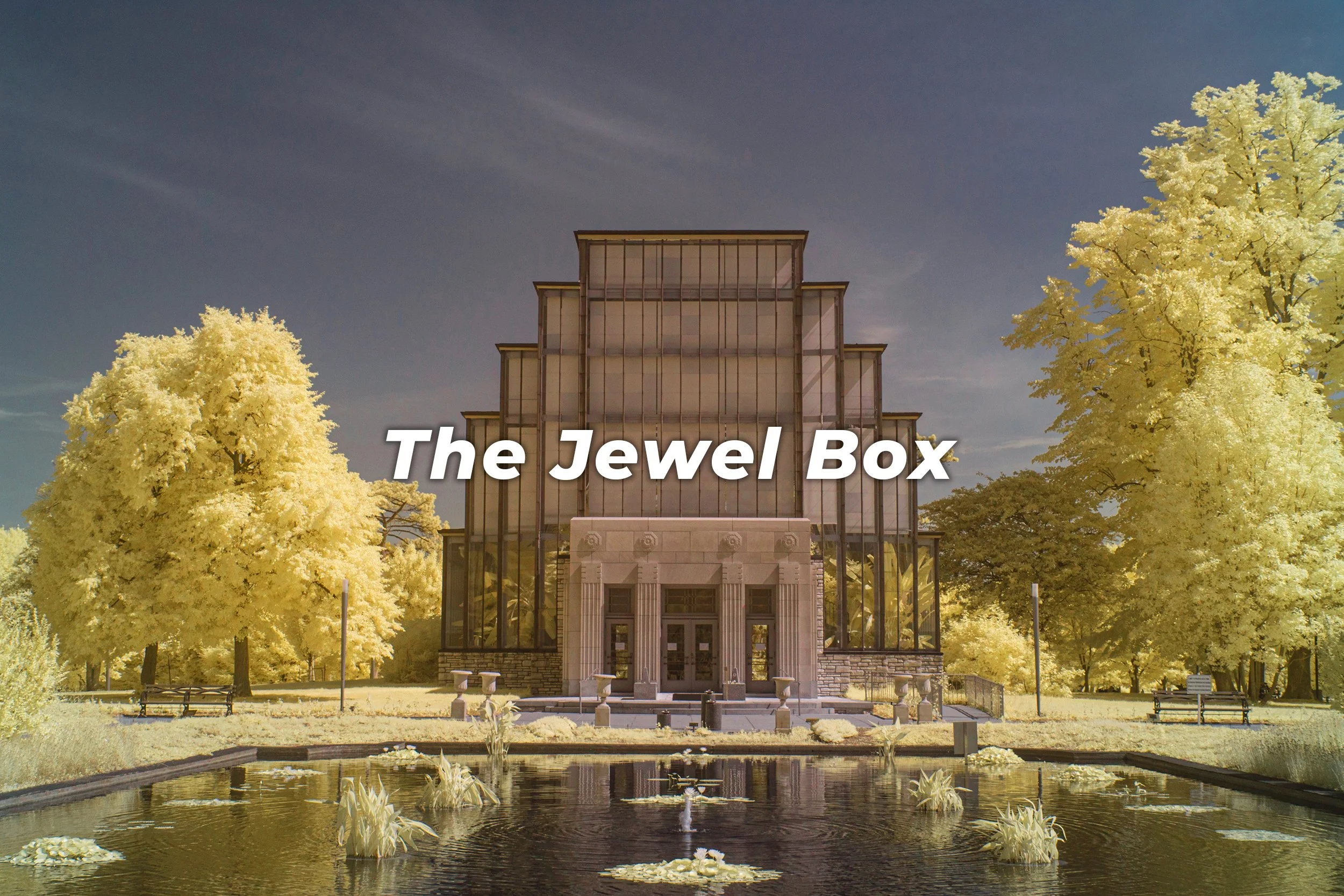 The Jewel Box