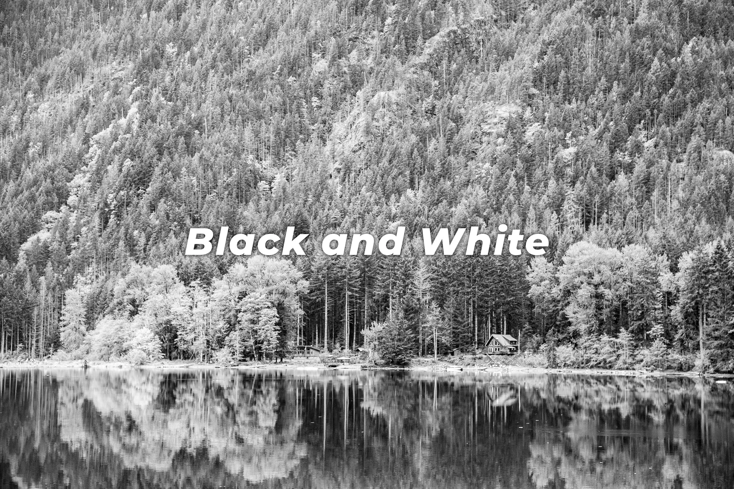 Black-and-White.jpg