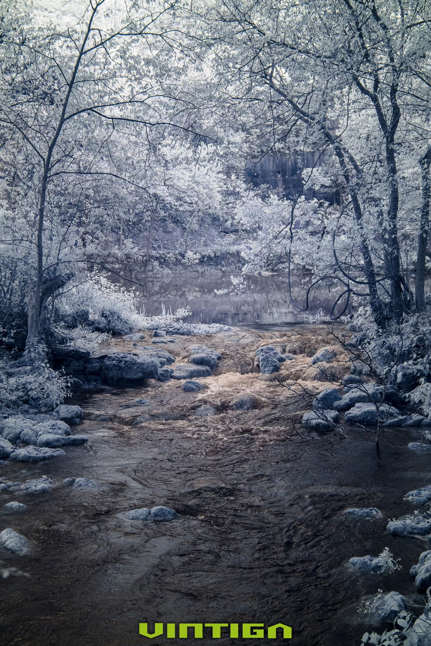 Rapids-in-IR.jpg