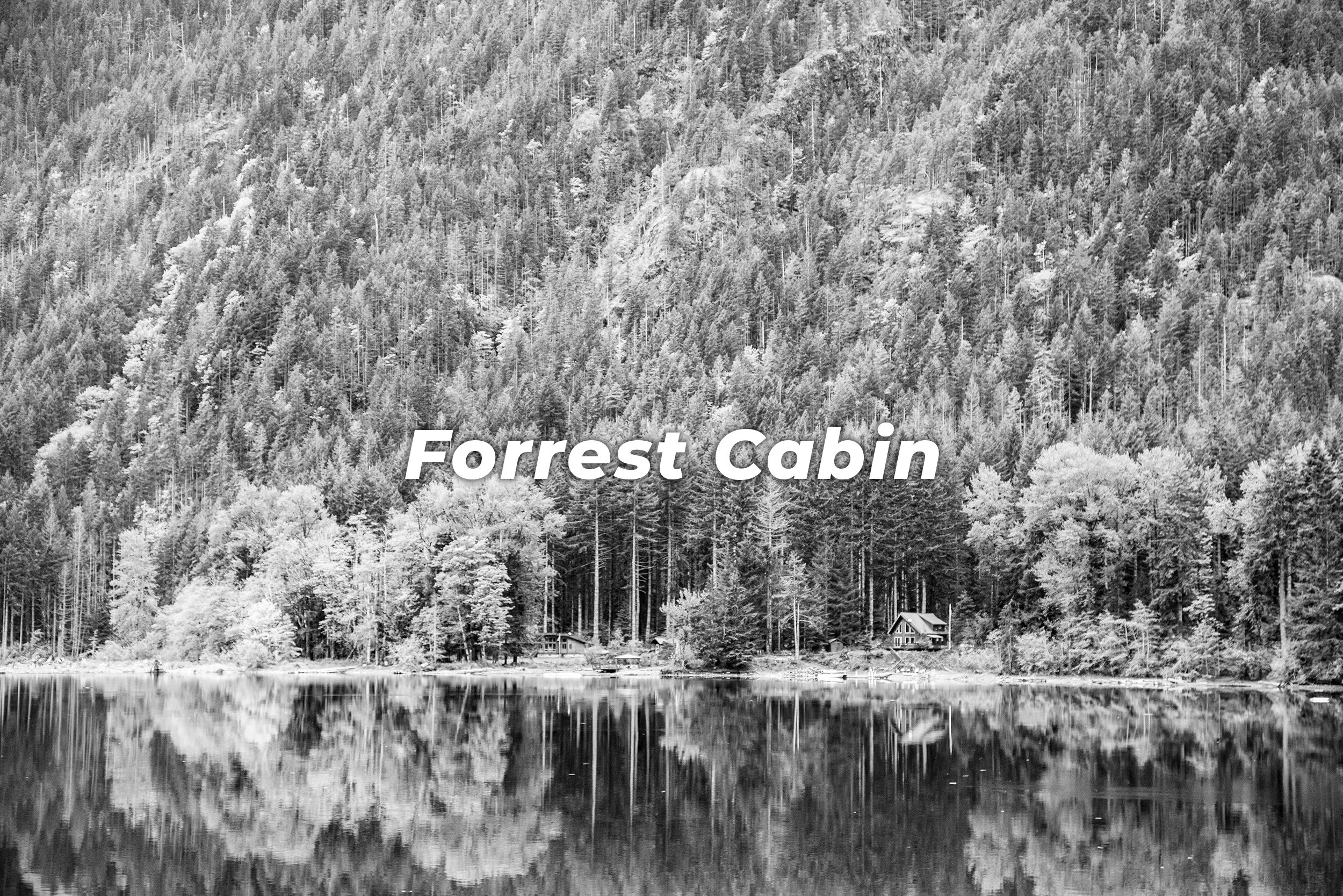 Forest Cabin