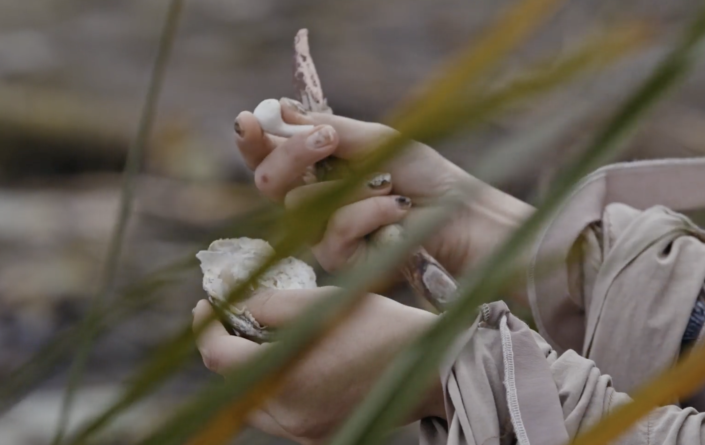 Squishable oyster containing pearlescent AirPod