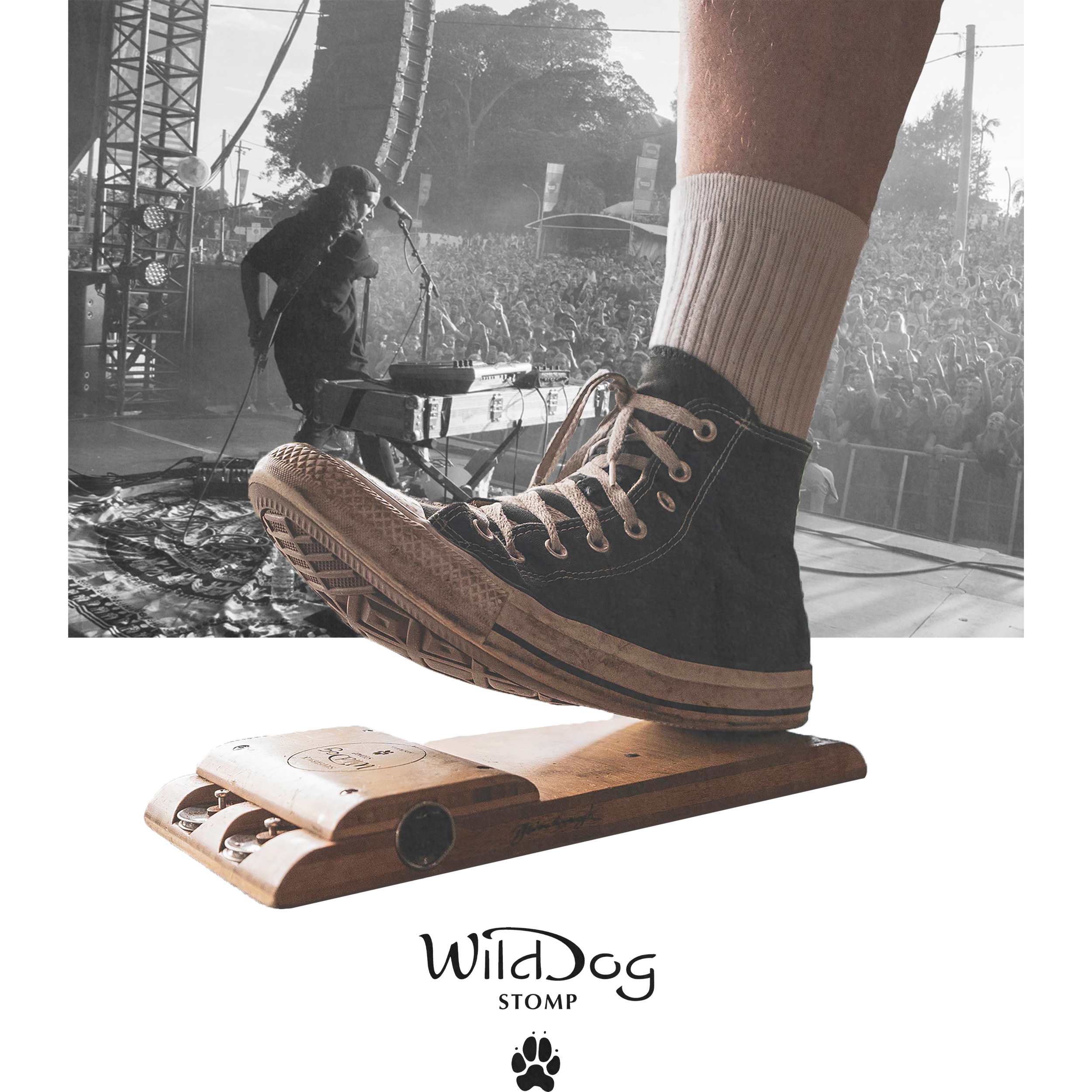 Stomp Tash Tee gr f.png
