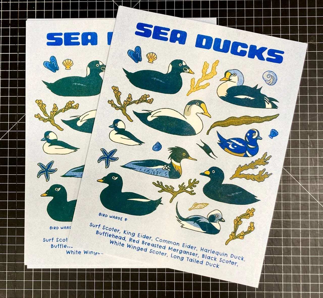 "Sea Ducks" blue and sunflower ink on white paper. By Bird Warde