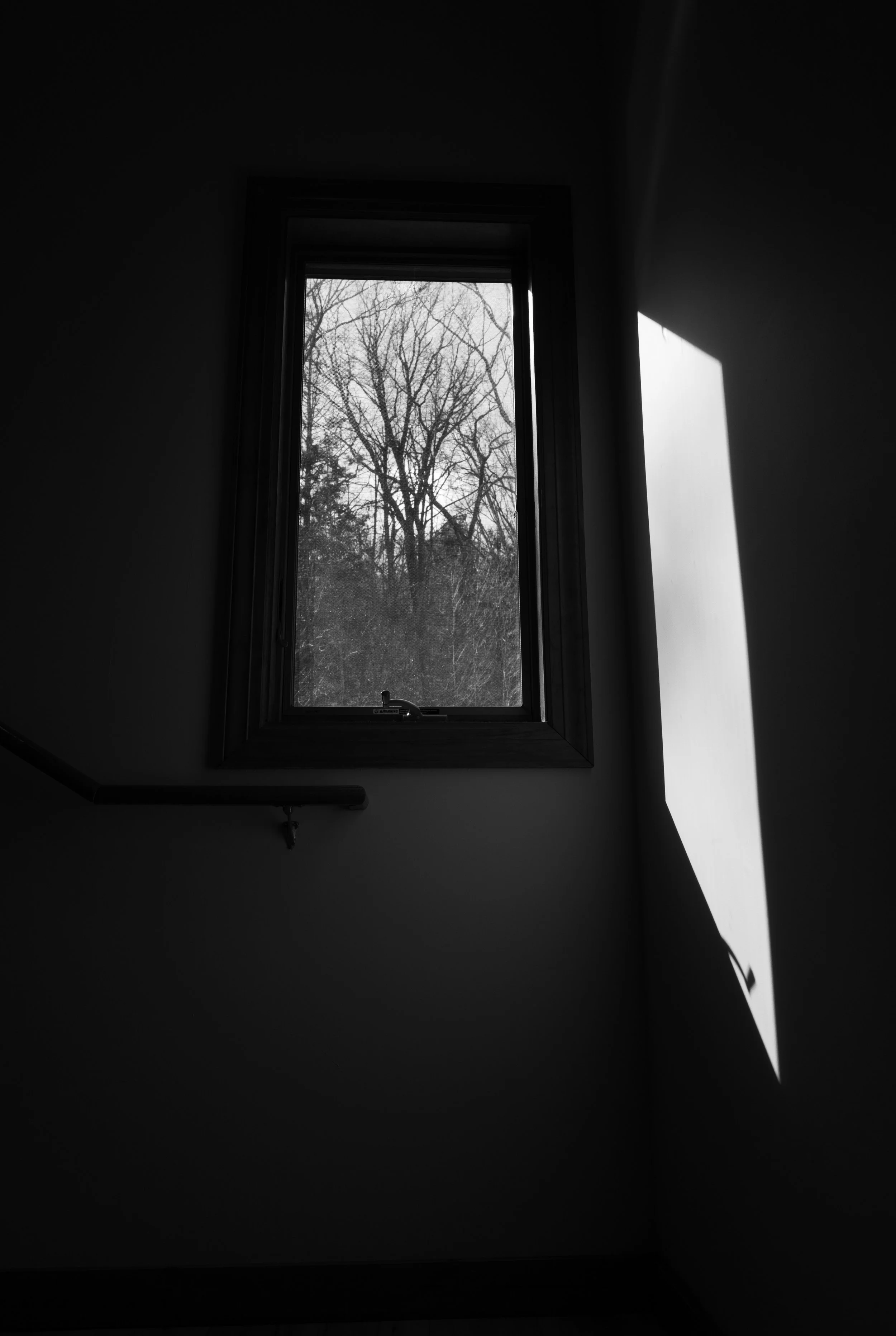 L1310208.jpg
