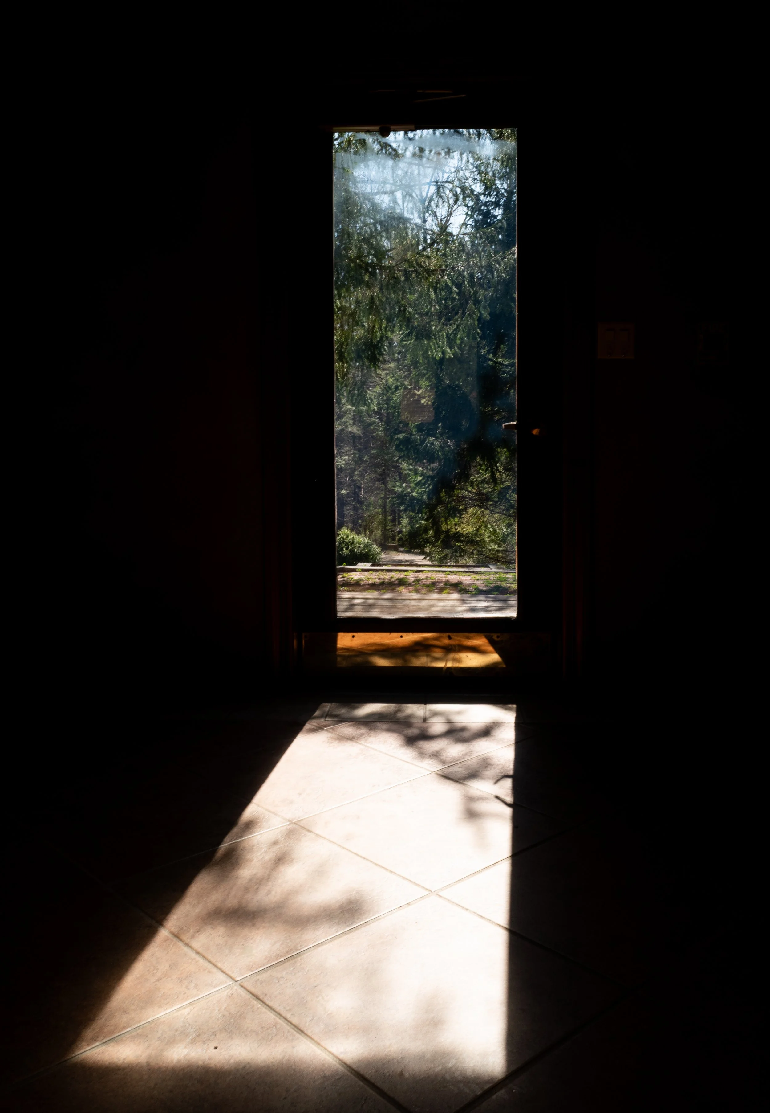 L1310117.jpg