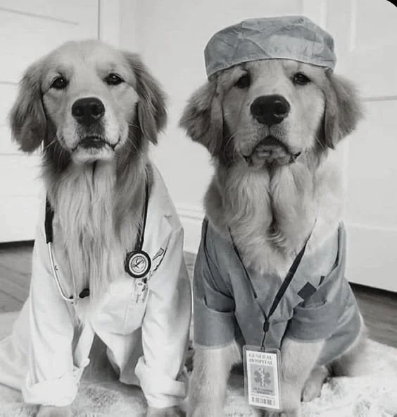 surgery.jpg