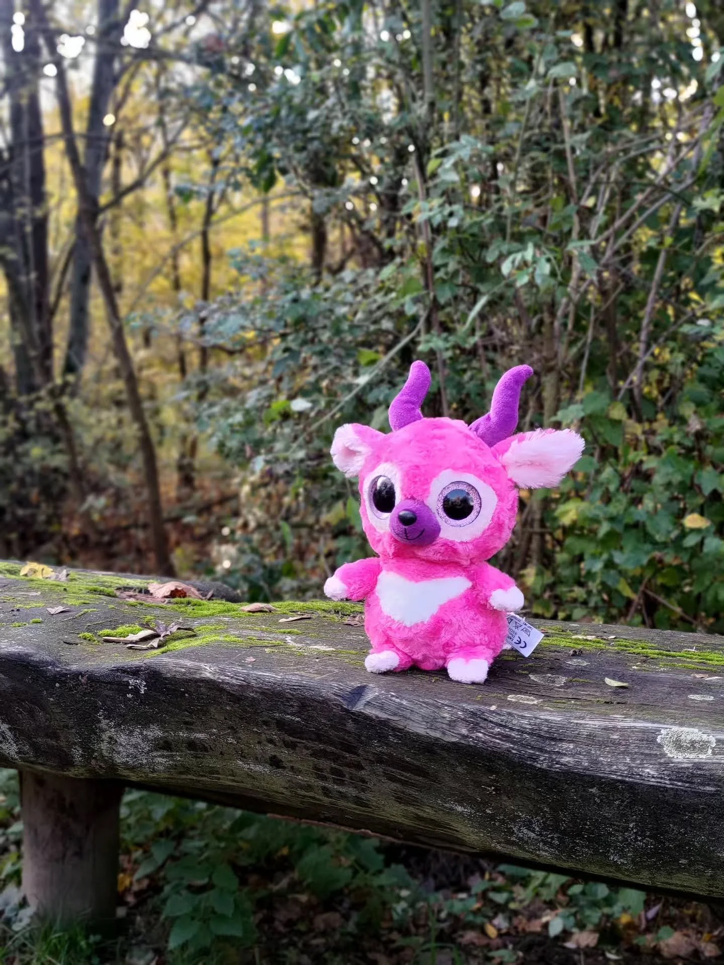 I had to promise my sweet little nephew to take this guy with me when I go out jogging today. 😁❣️