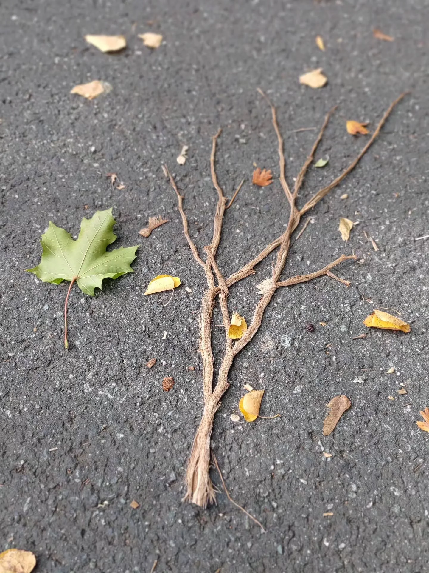 A painting by nature of itself.