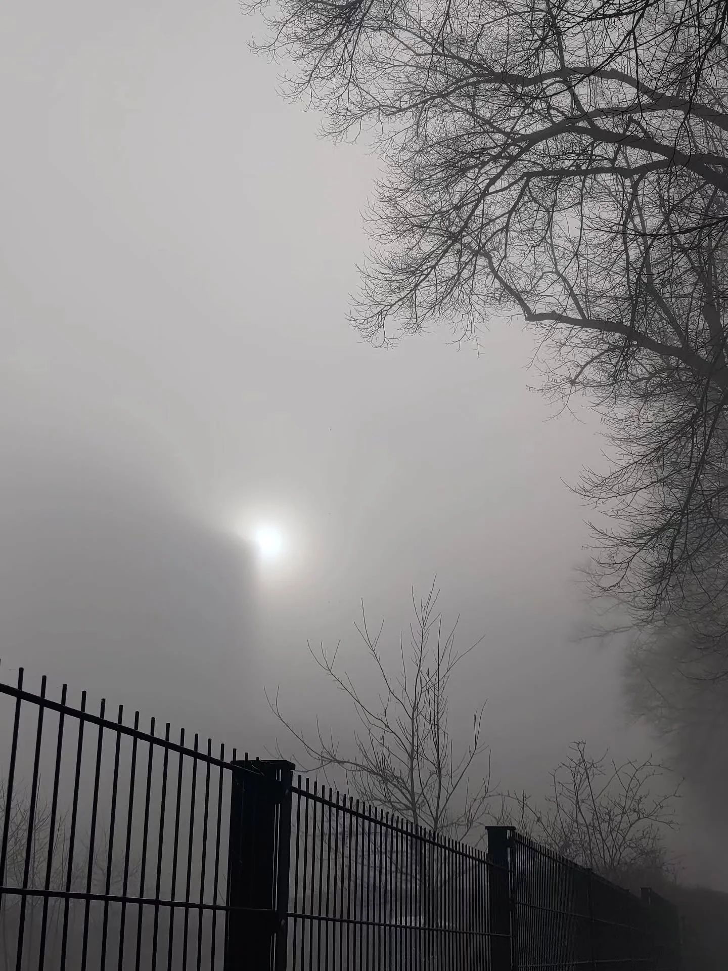 This is how the world greeted me this morning 😍

Felt like I was walking on cloud number nine... 😽💕