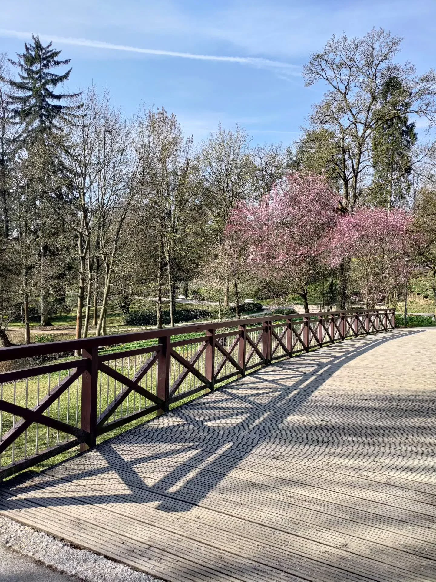 Went to beautiful Bad Nauheim the other day.

On the bridge in the first image, I met a sweet, joyful woman who wanted me to take pictures of her. When I did she twirled and smiled. That was so cute. She must've been a Leo ♌😂

I couldn't stay as lon