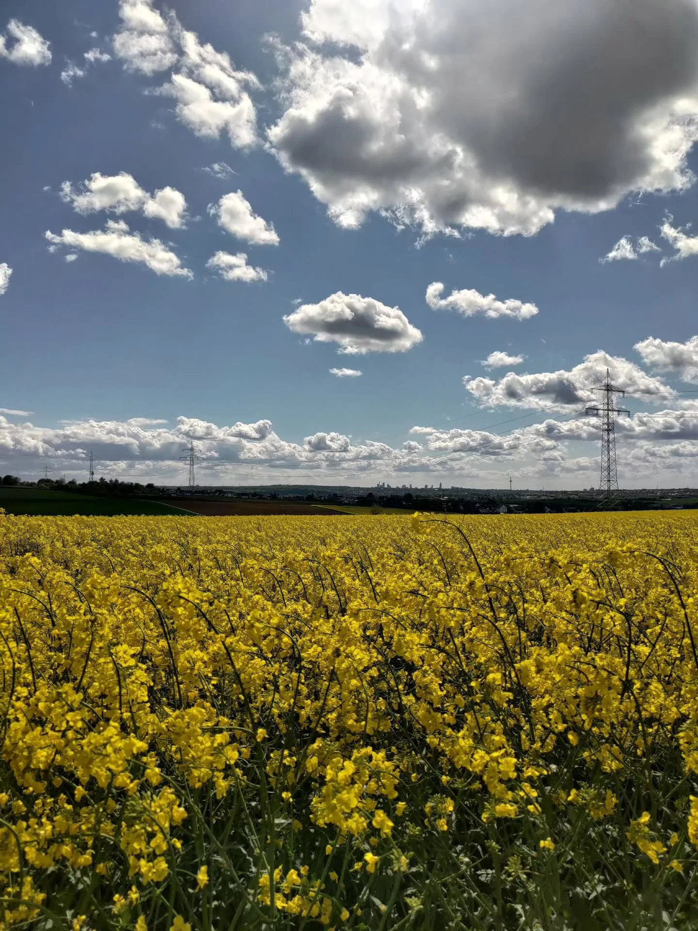 Germany right now 🥰