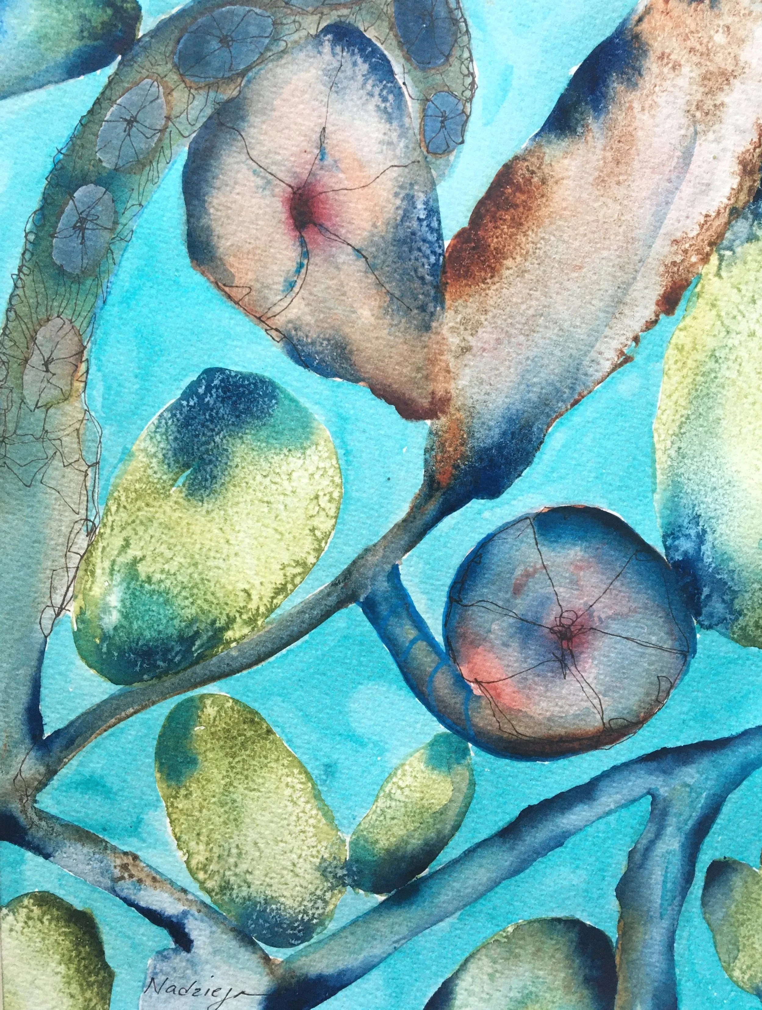 Aquatic Aggregates
Watercolor and Ink on Paper
14" x 11"