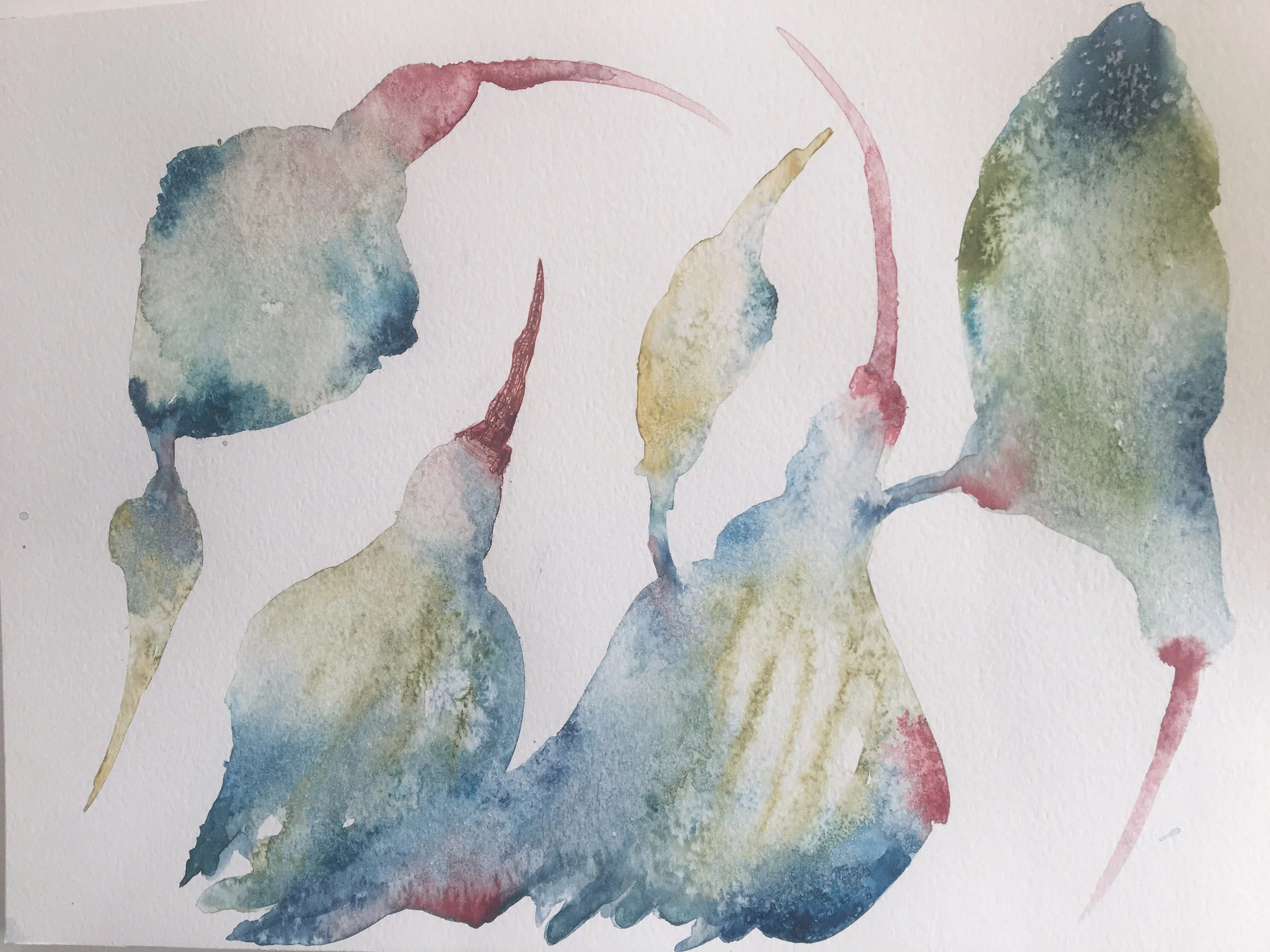 Avian Cluster
Watercolor on Paper
11" x 14"