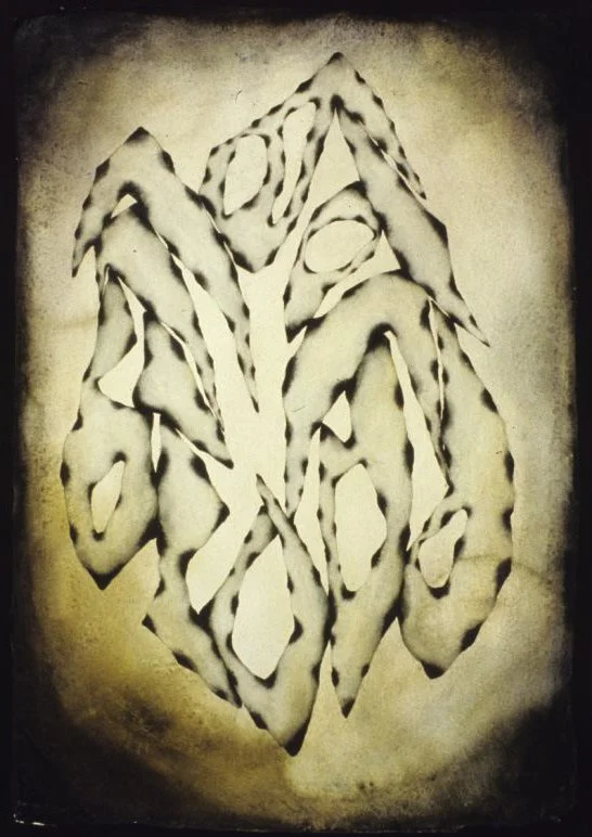 Synthesis 
Watercolor on Handmade Paper
40" x 28"
