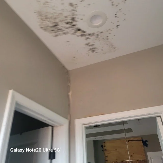 Ceiling with visible water damage and mold growth in a room with a smoke detector and a doorway.