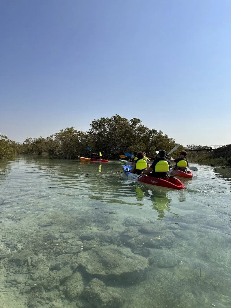 Il Parco di Mangrovie di Jubail — Itinerari Speciali