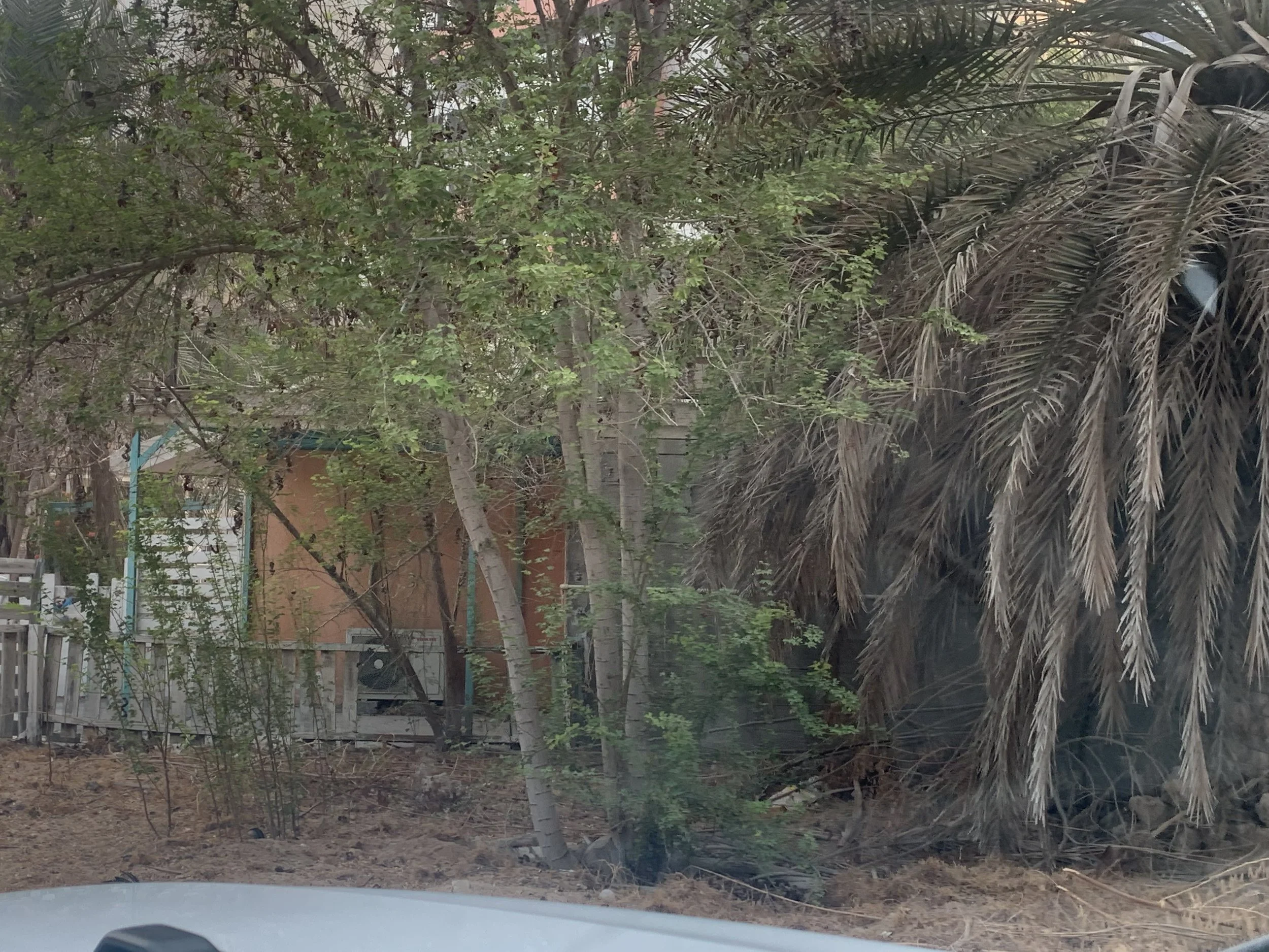 Desert Springs Village