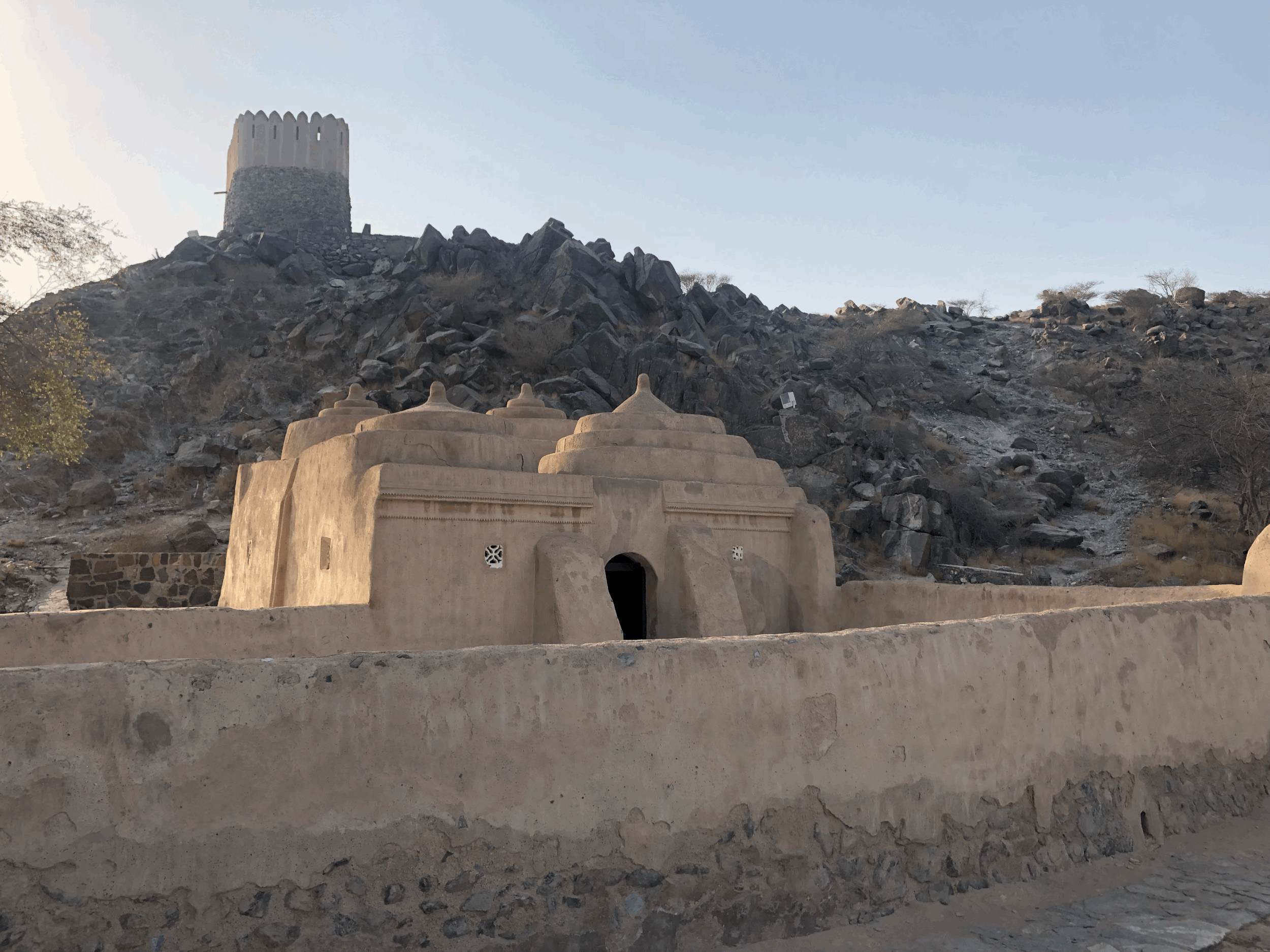 Archeologia negli Emirati Arabi Uniti