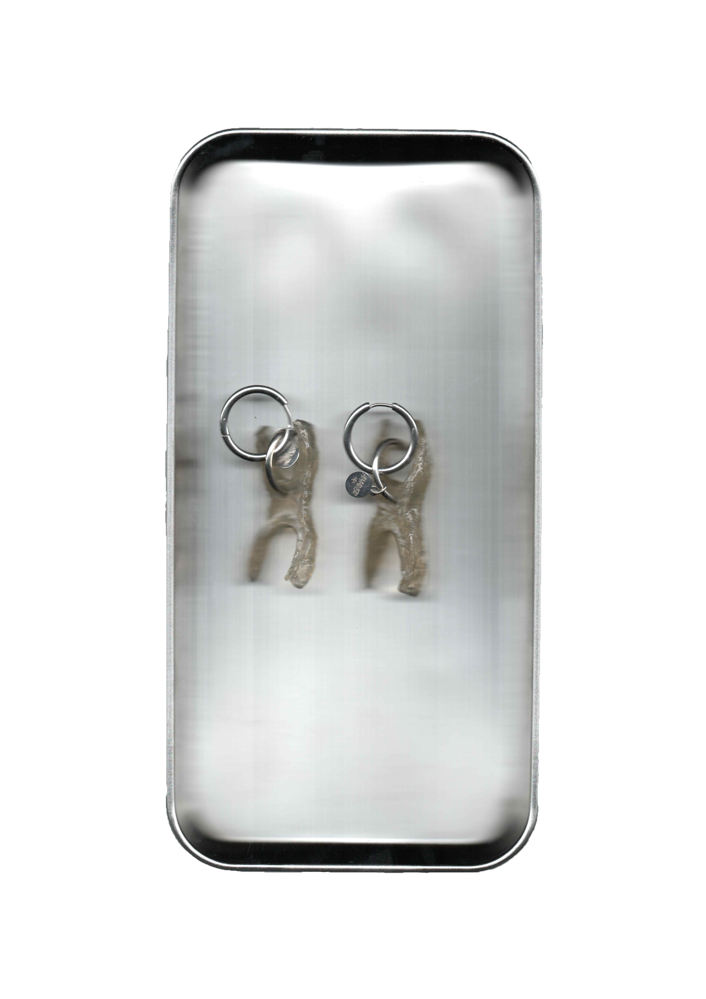 'Tojol' Transparent Earrings