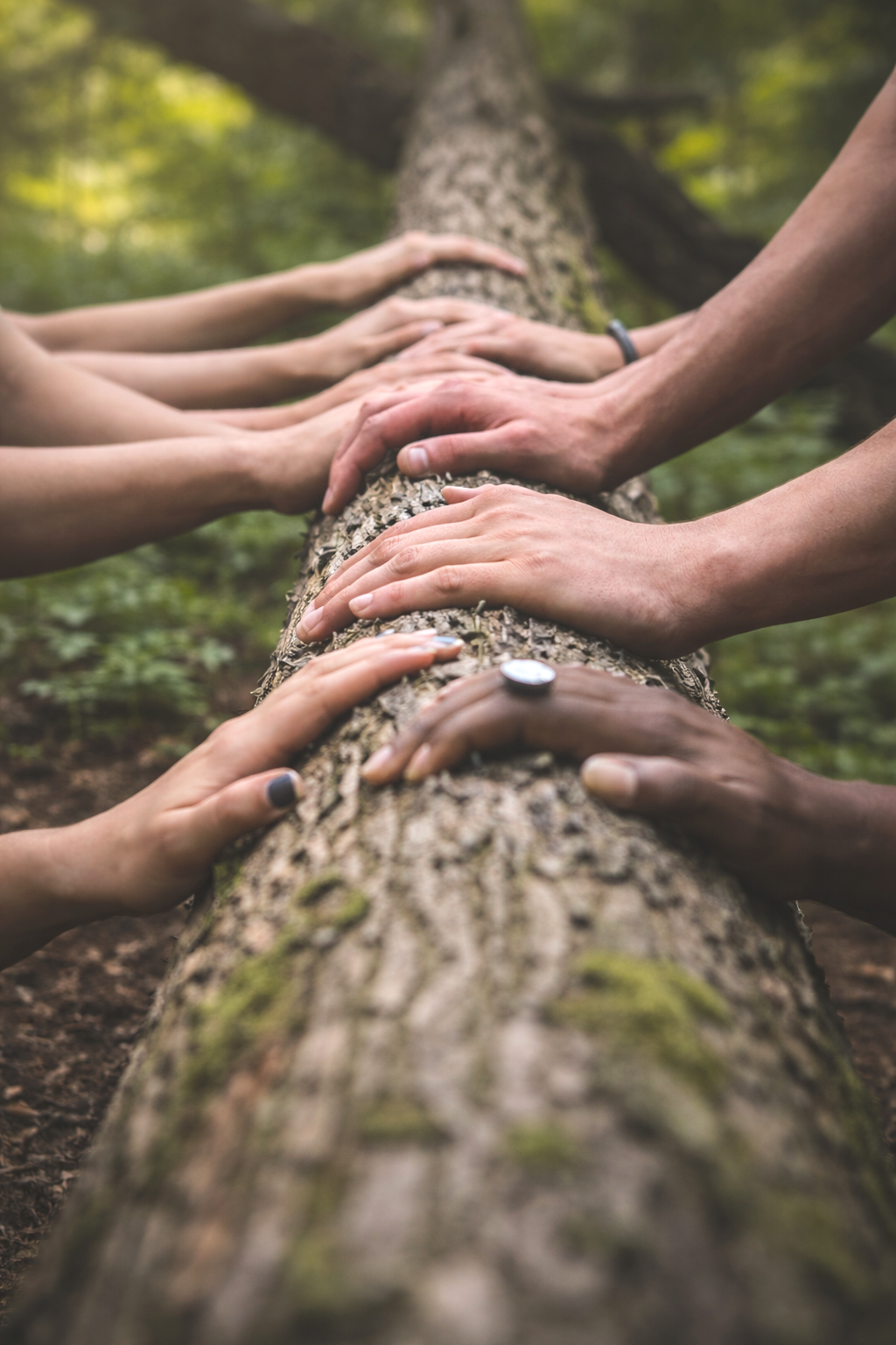 Crystal Aura Organizing community give-back initiative supporting families in underserved communities through charitable donations and outreach.