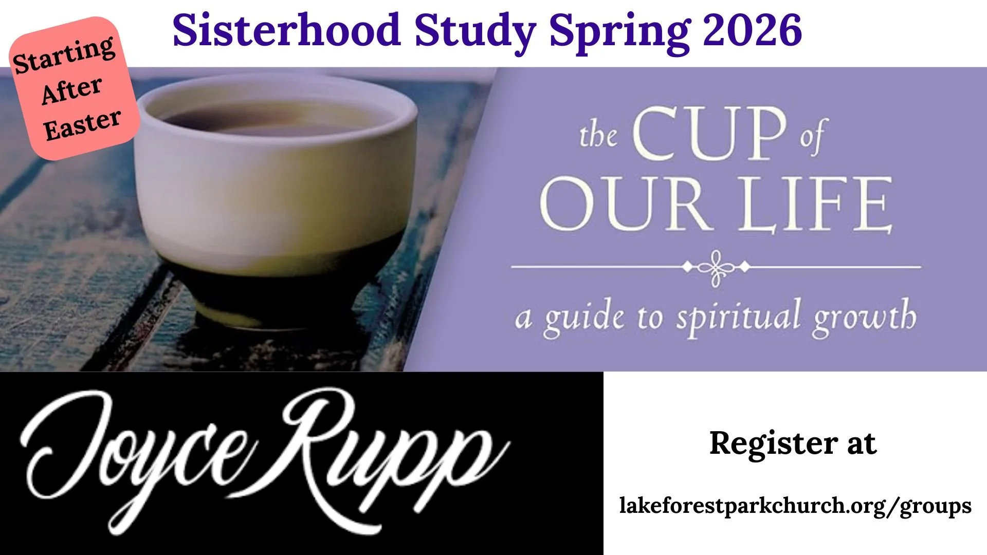 Sisterhood Study Spring 2026 copy.jpg
