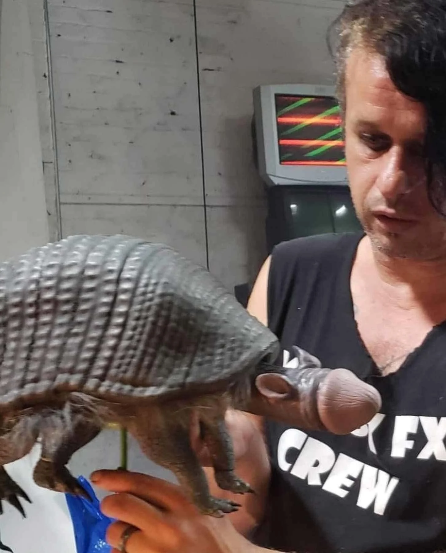 armadildobts.jpg