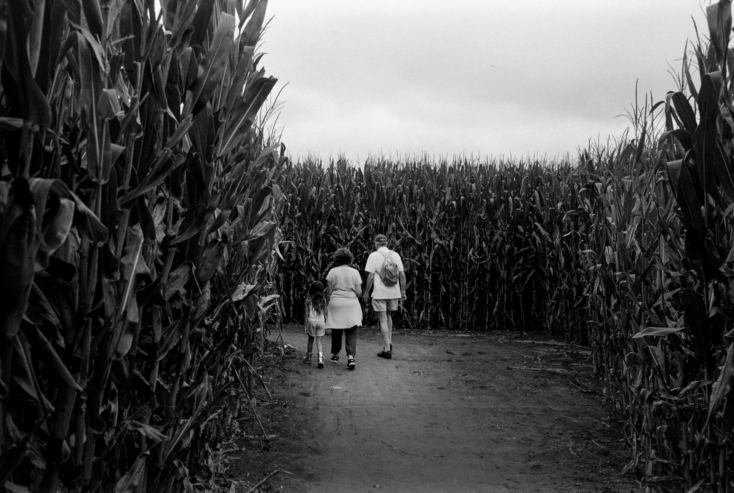 2017-10-26-0092 bw.jpg