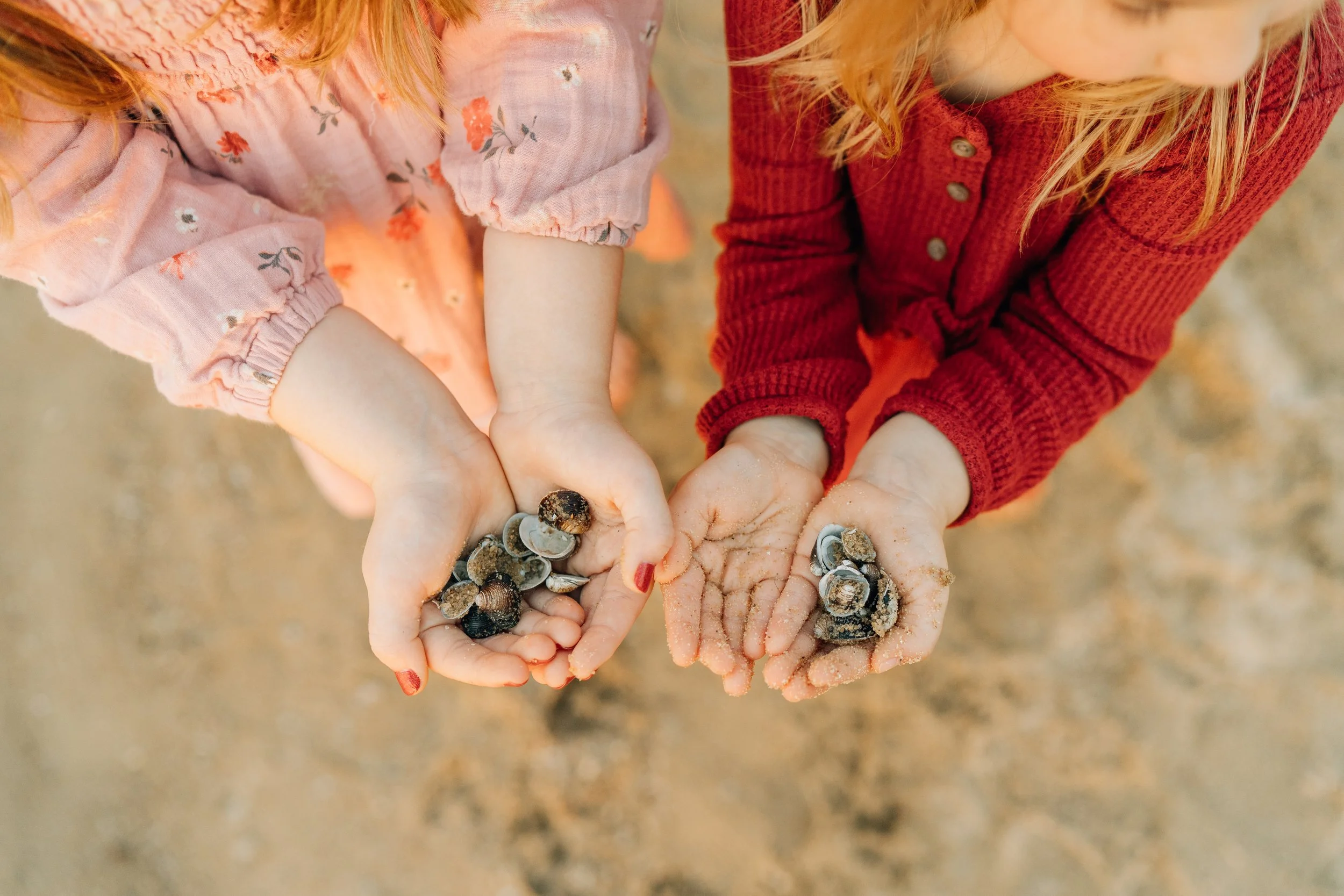 Two children holding seashells and sand with sandcastles in their hands