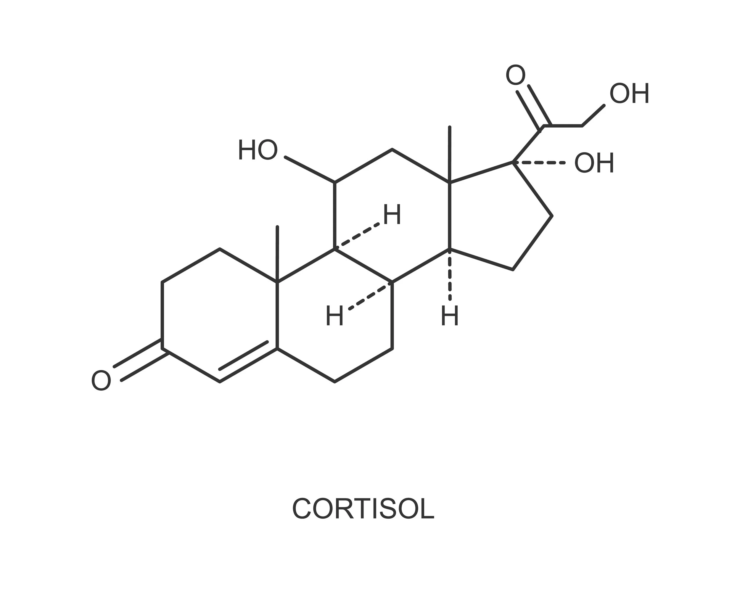 Das Hormon Cortisol sorgt unter Stress dafür, dass Übergewicht, Muskelverlust und Insulinresistenz entstehen. Gewichtsstigma erhöht Cortisol und macht anfälliger für Essattacken.