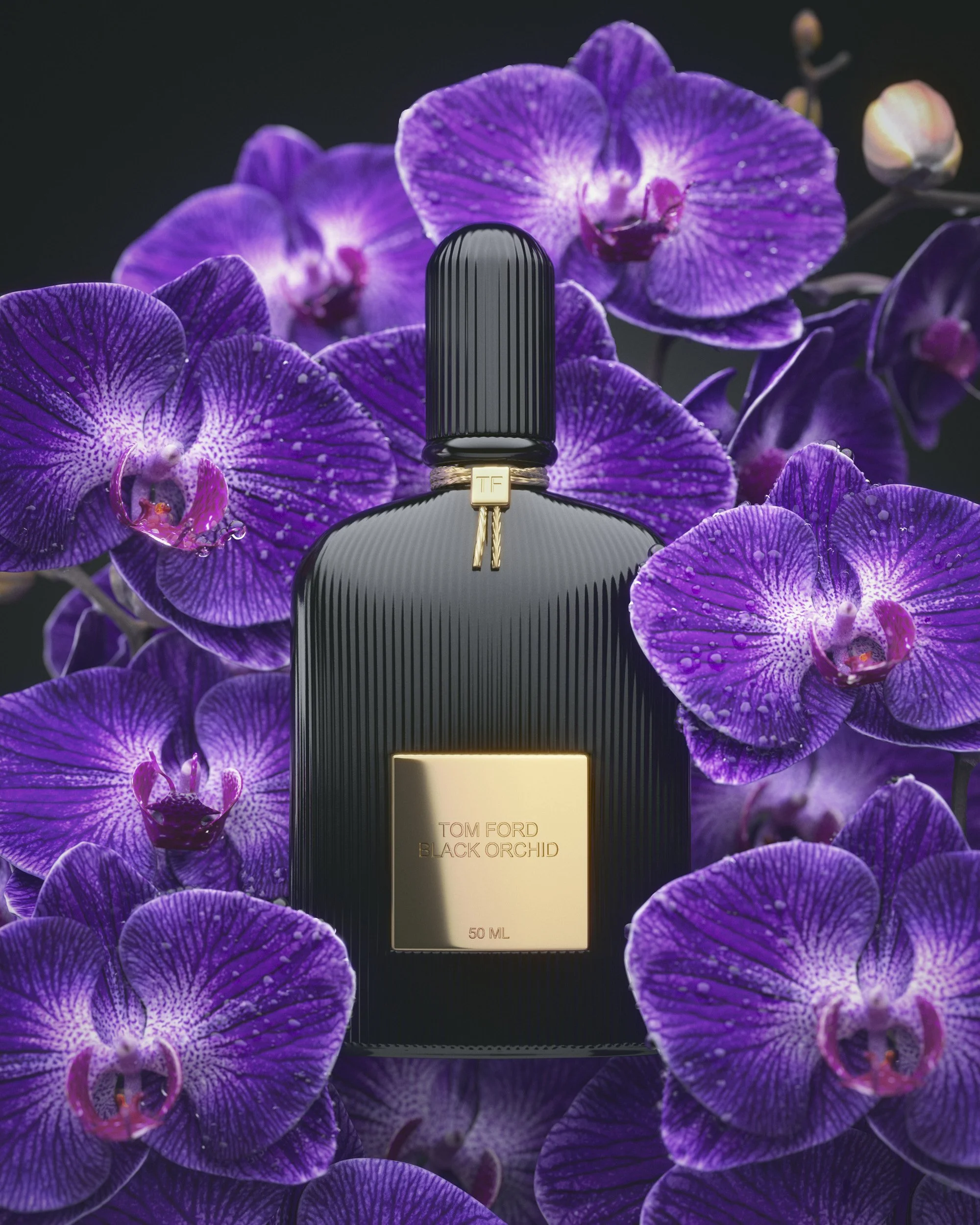 BLACK_ORCHID_FRONT_DROPLETS.jpg