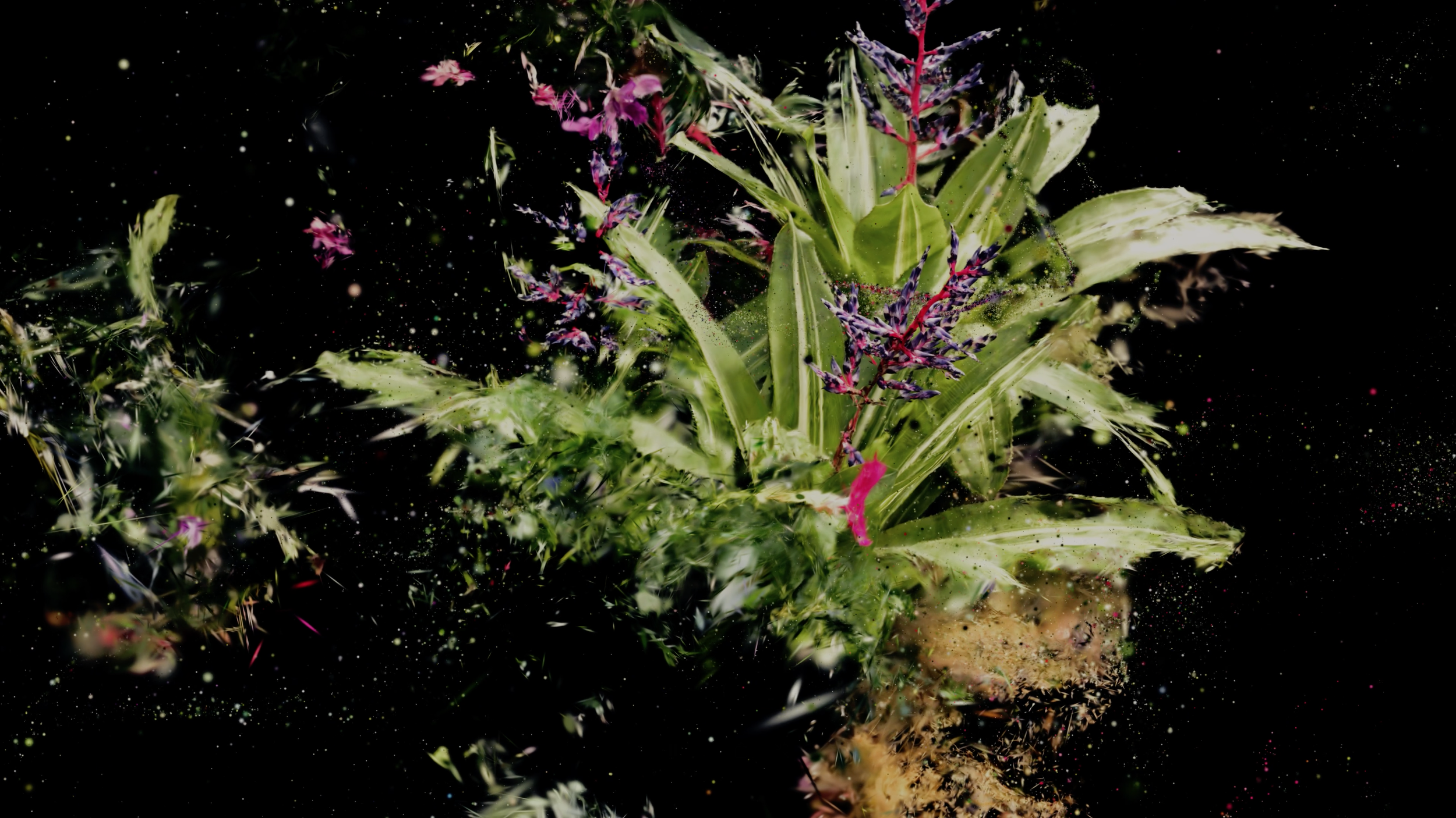 Abstract image of a plant with vibrant green leaves and purple flowers on a dark background.