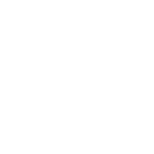 Mika Jain Consulting