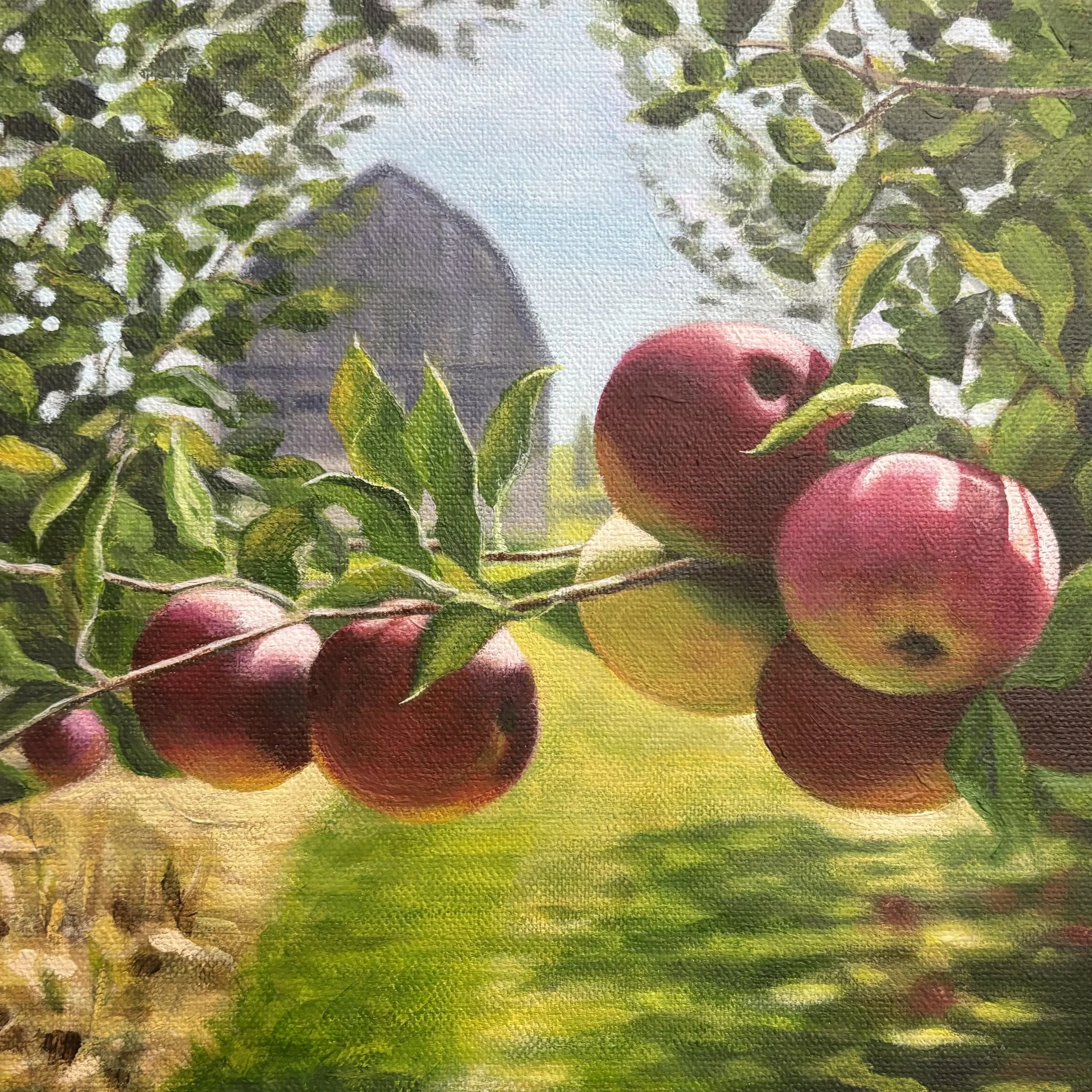 Ready to Harvest.jpg