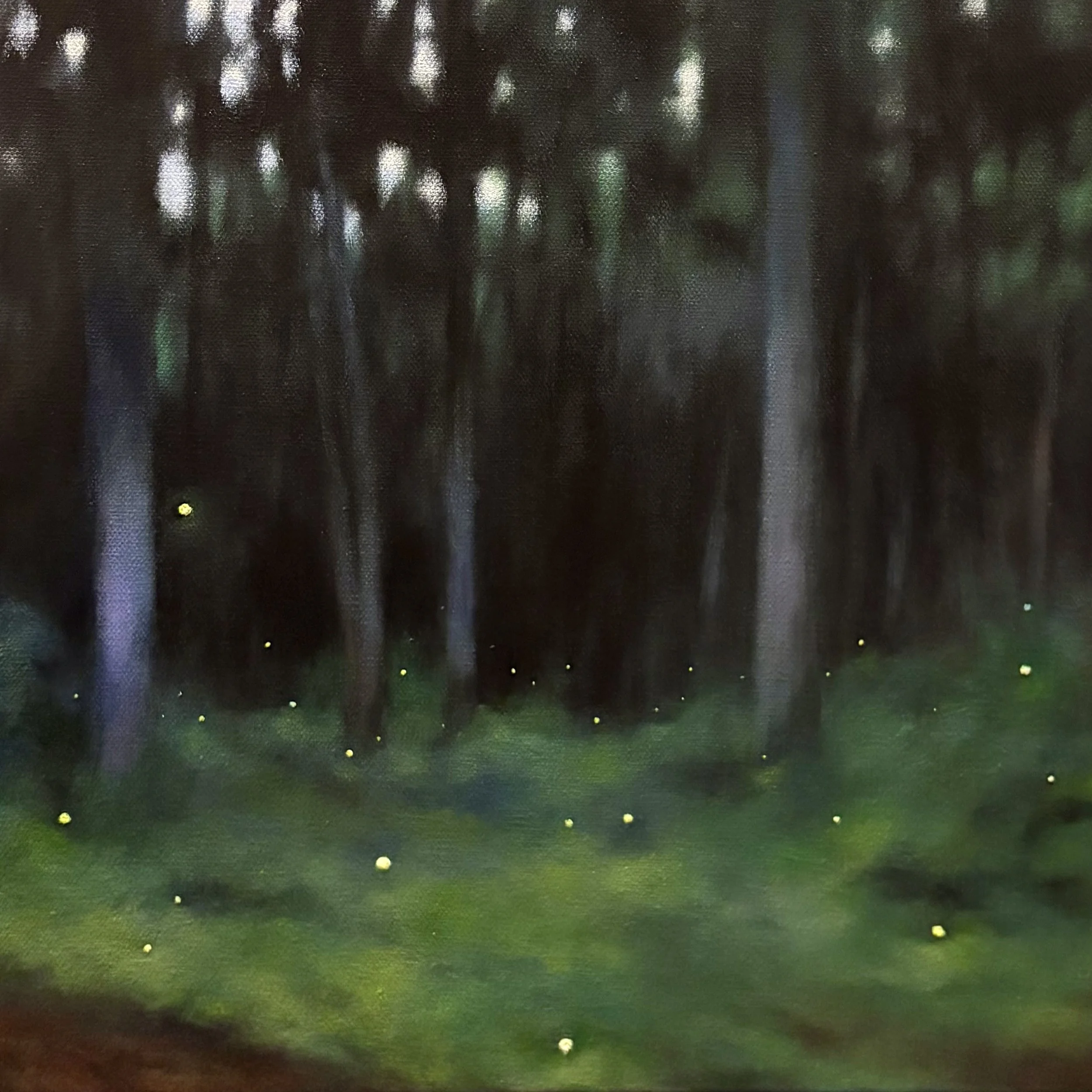 Summer Lights