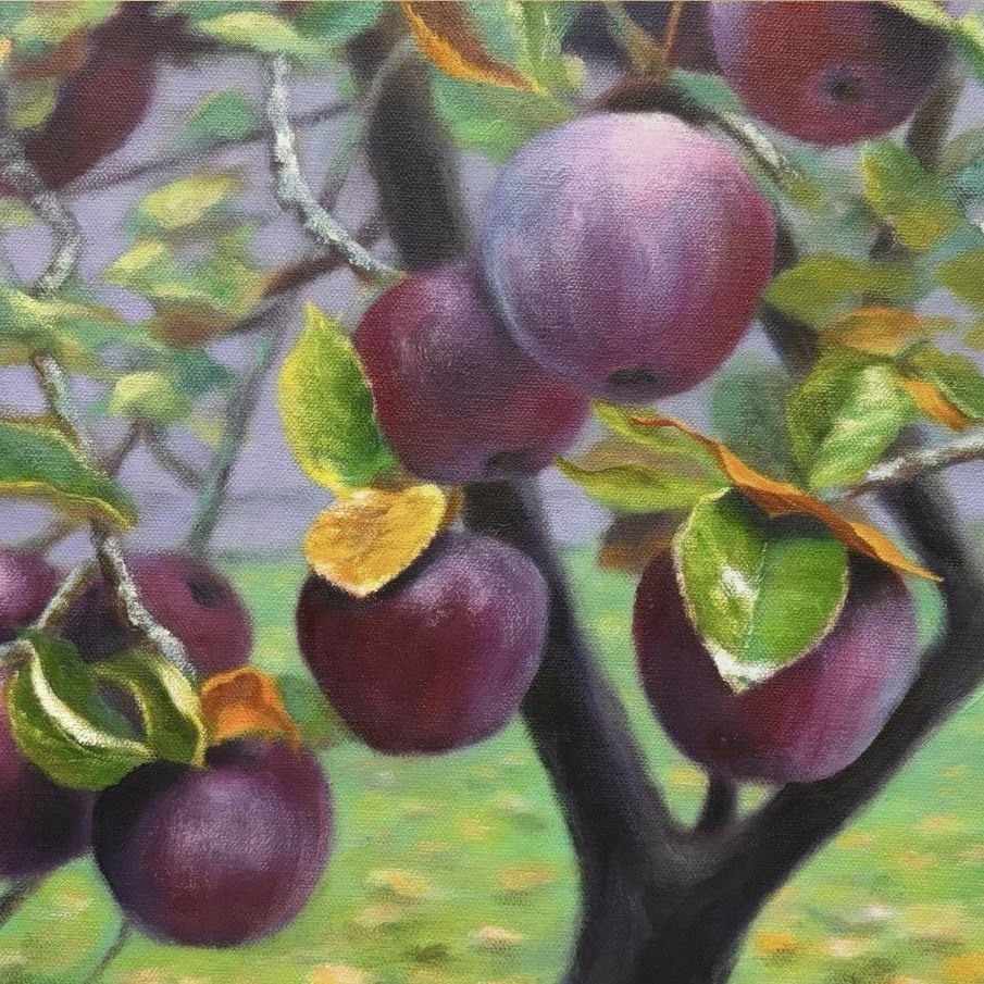 Late Harvest