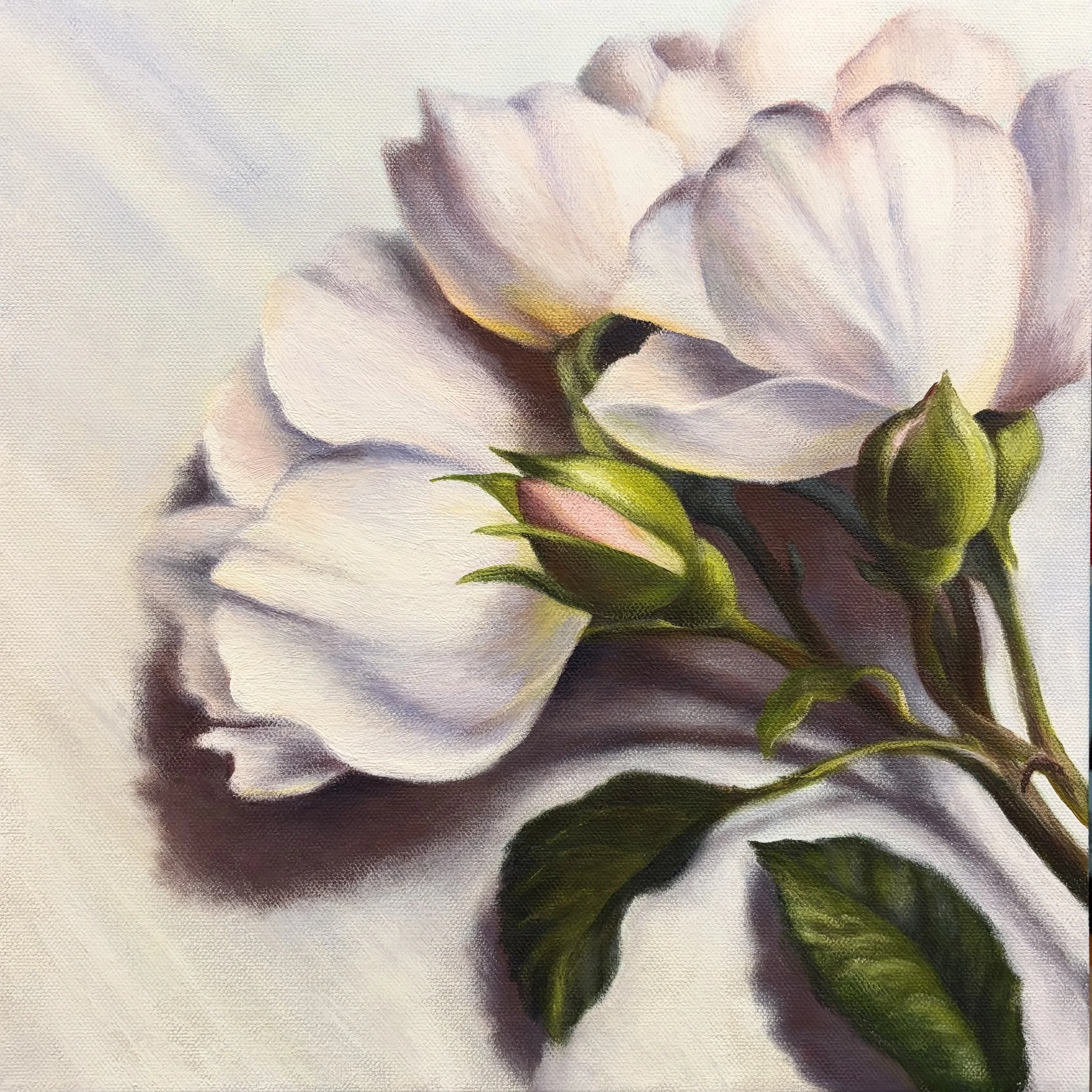 July Roses