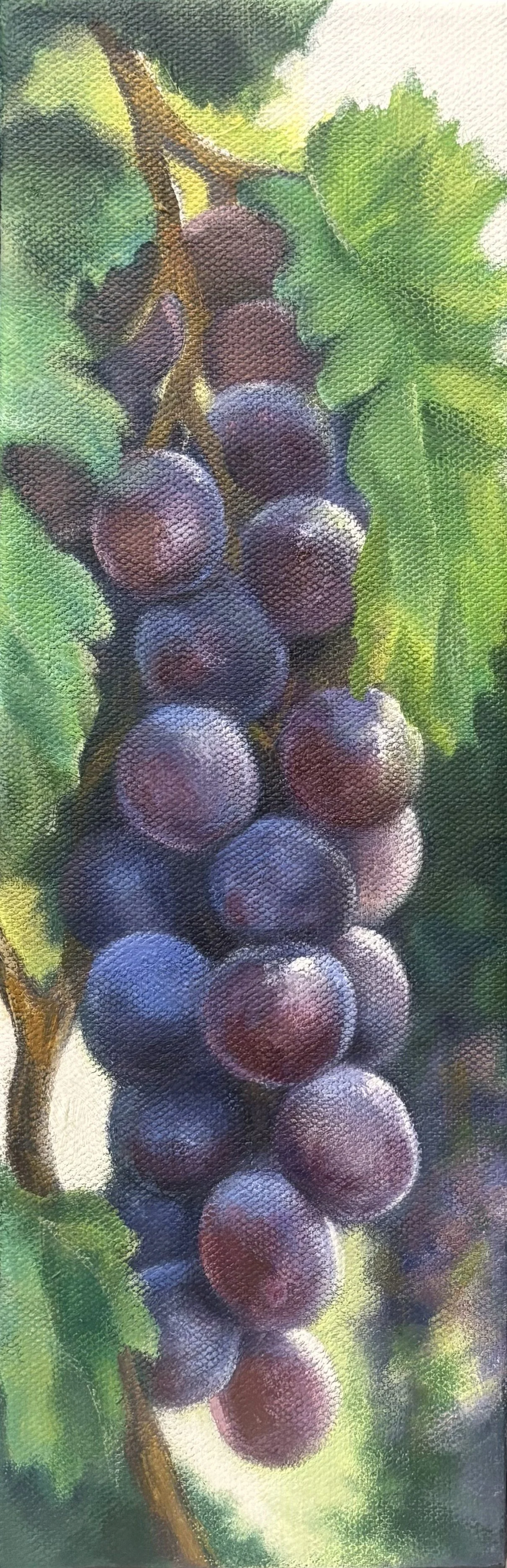 Nadine Baker, Pinot Grigio.jpeg