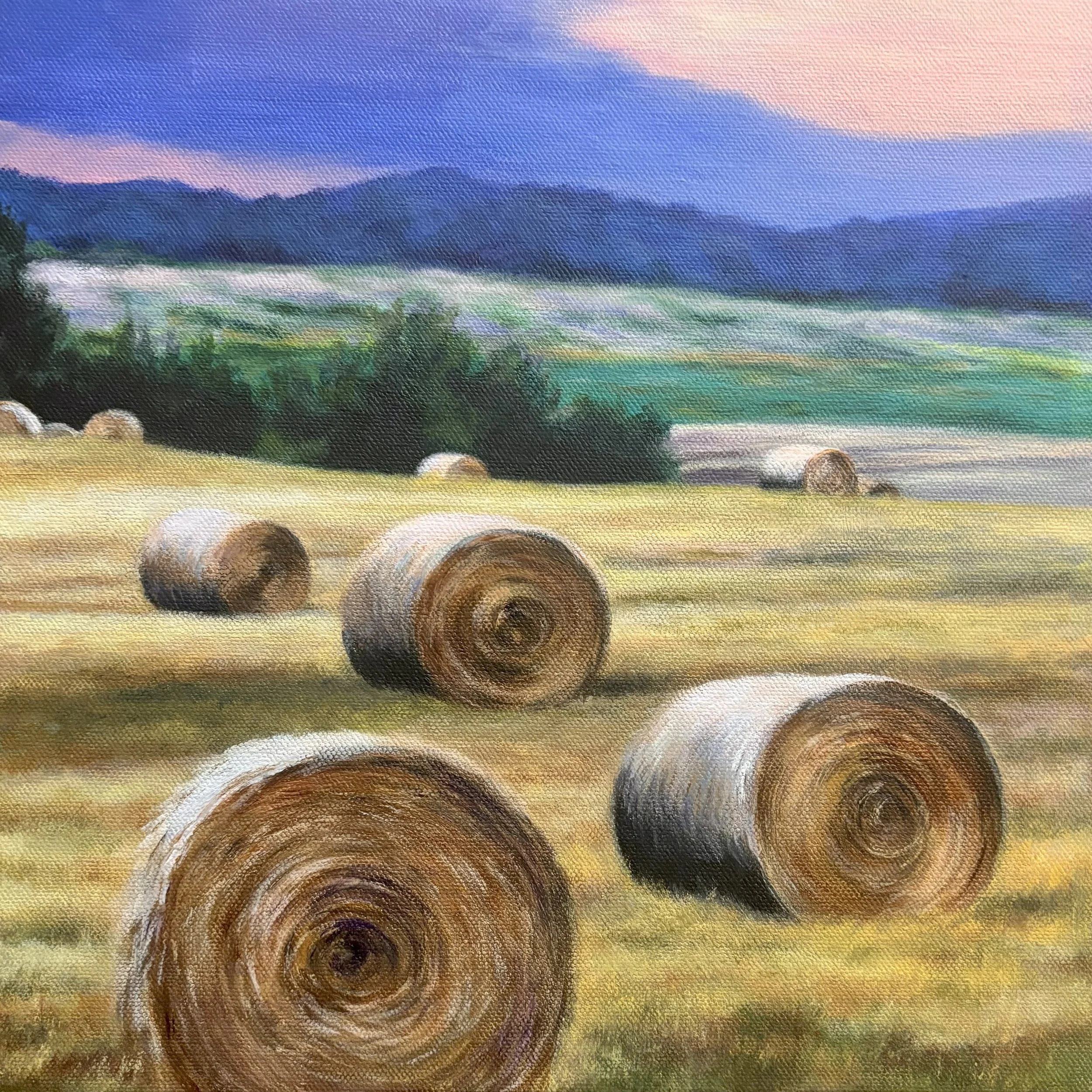 Basking Bales, 12x12.jpeg