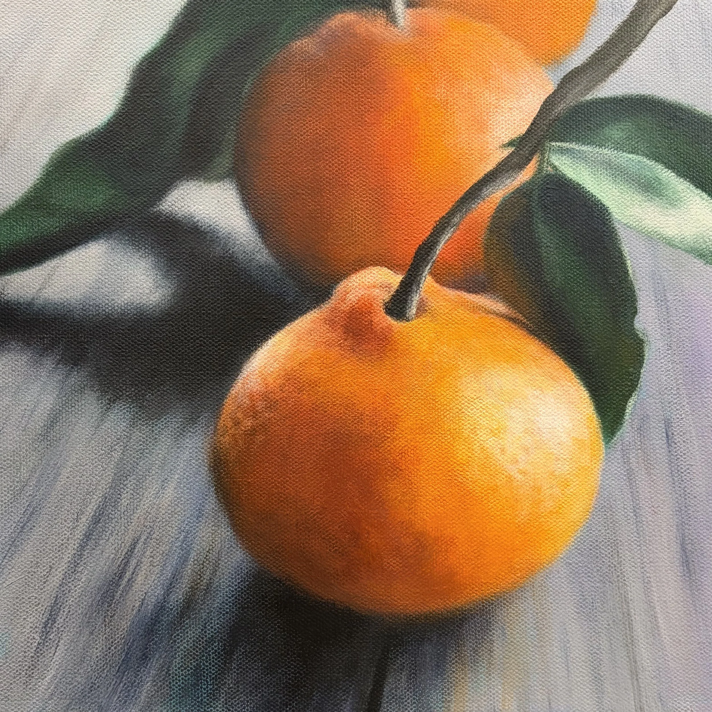 Still Citrus